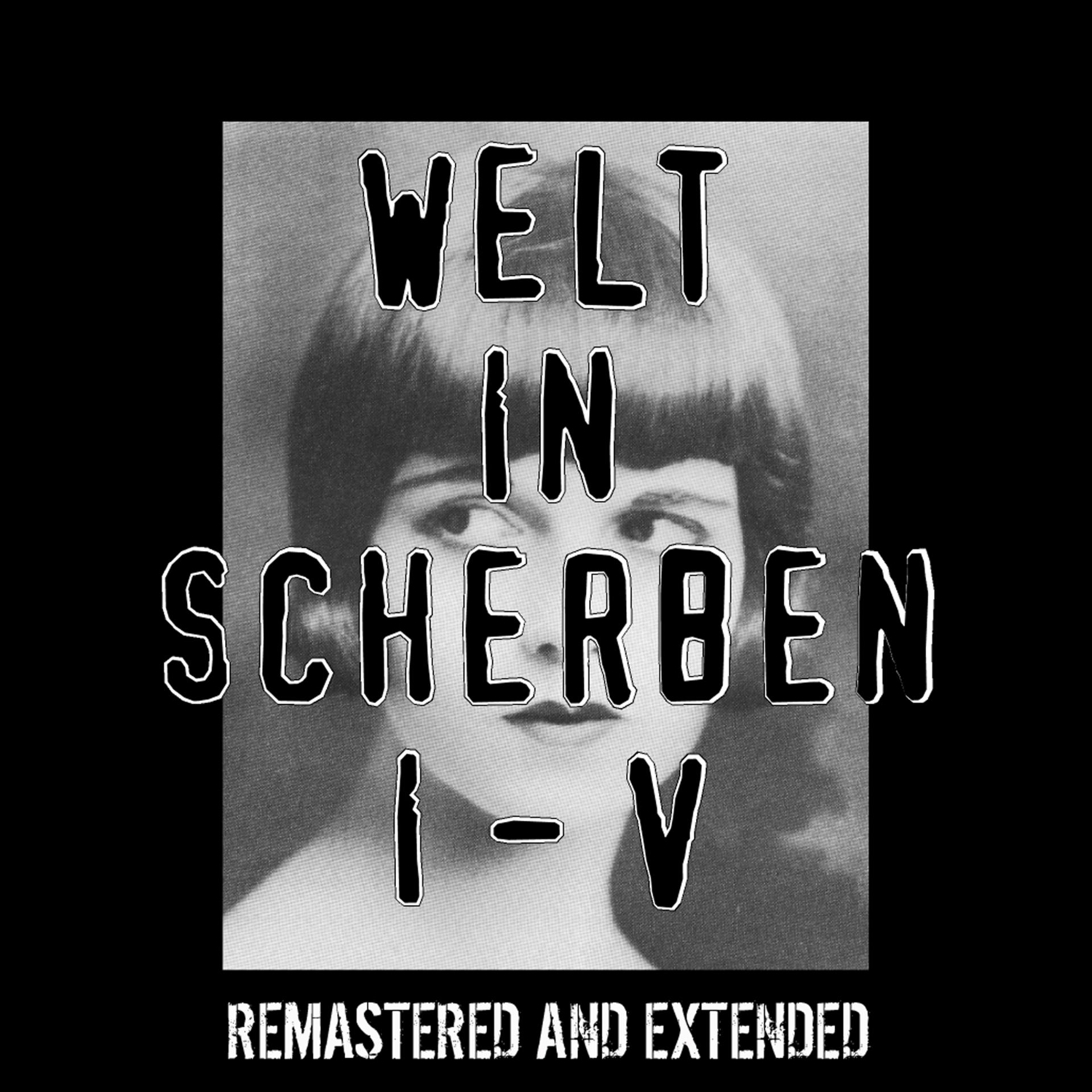 Постер альбома Welt in Scherben I-V