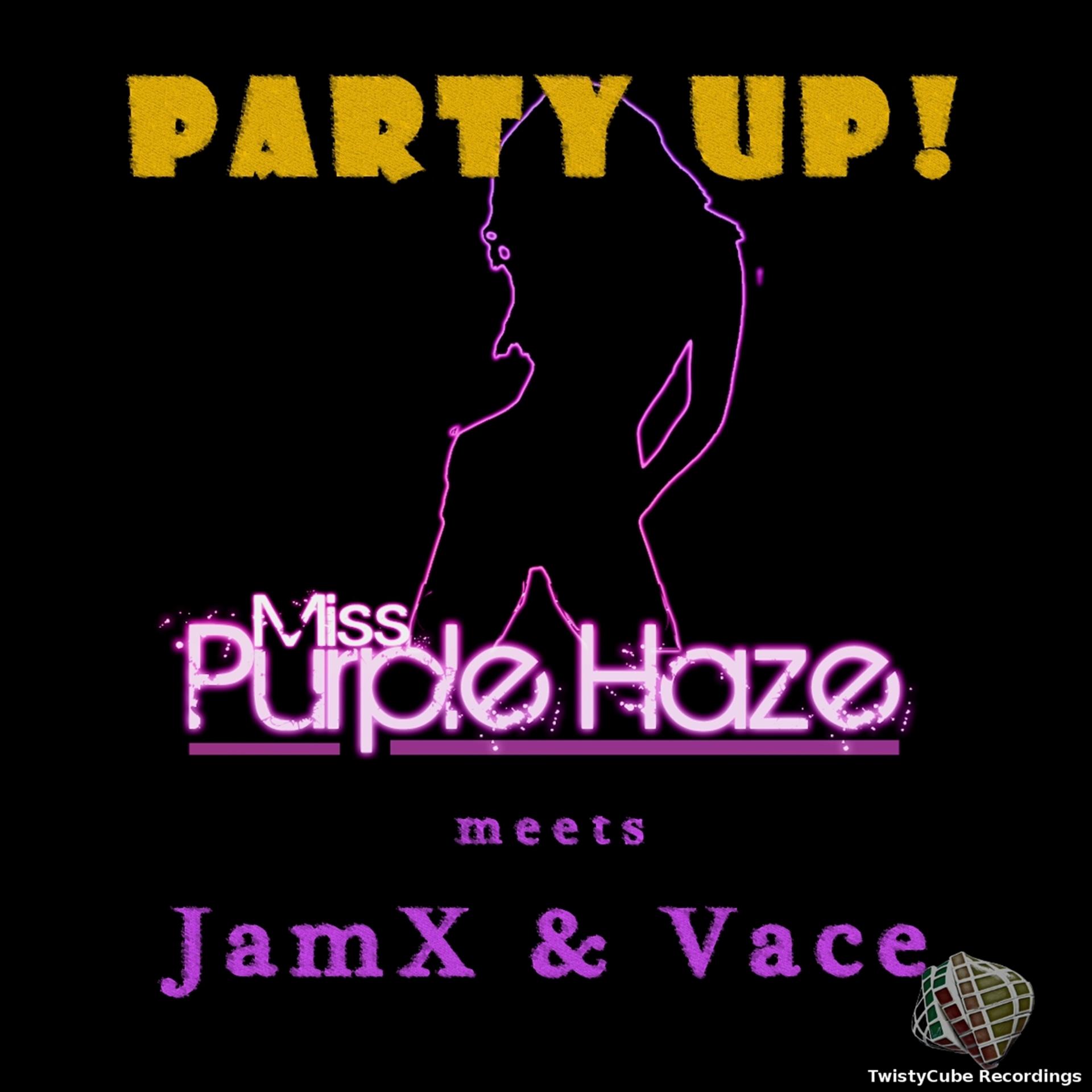 Постер альбома Miss Purple Haze meets JamX & Vace - Party Up!