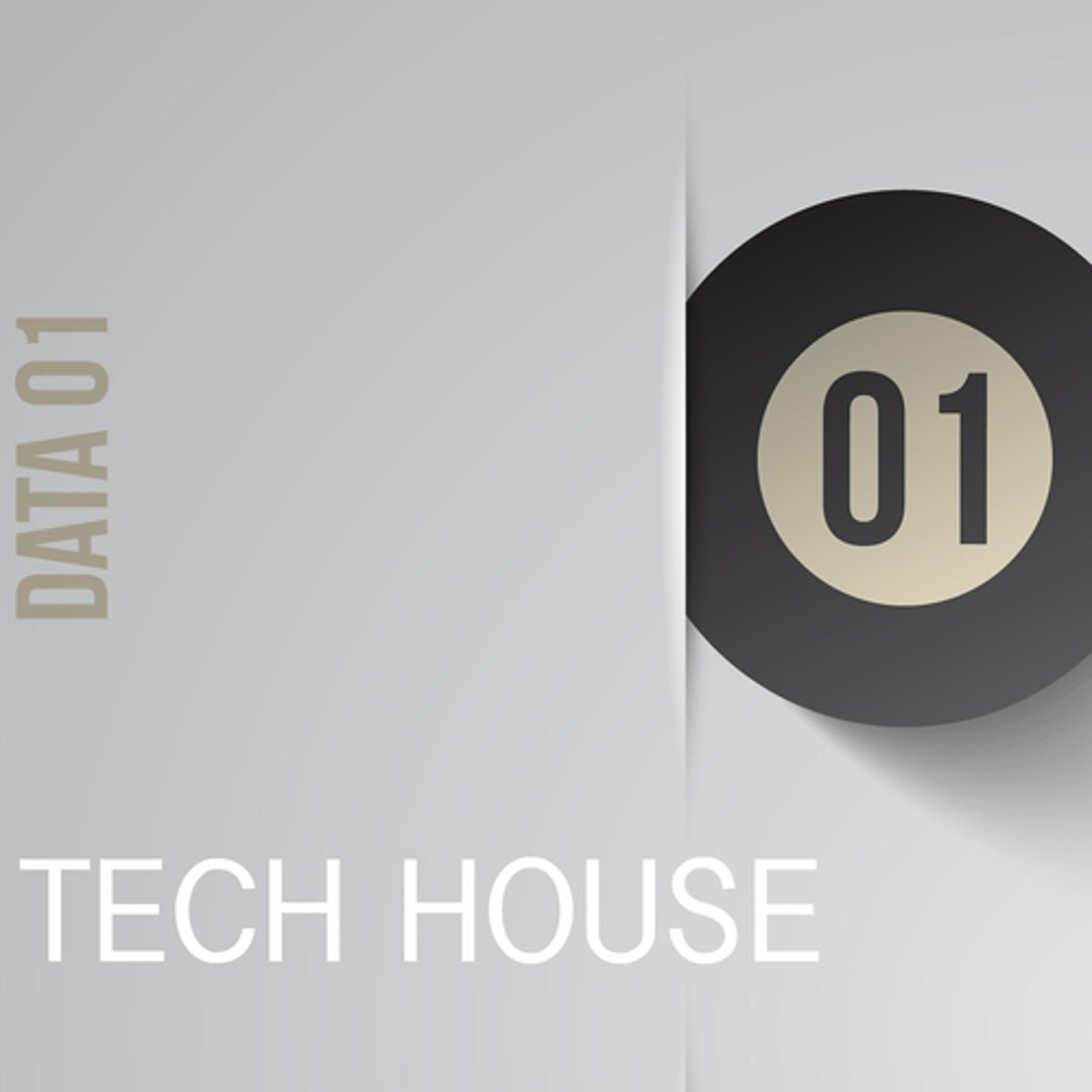 Постер альбома Data01 - Tech House