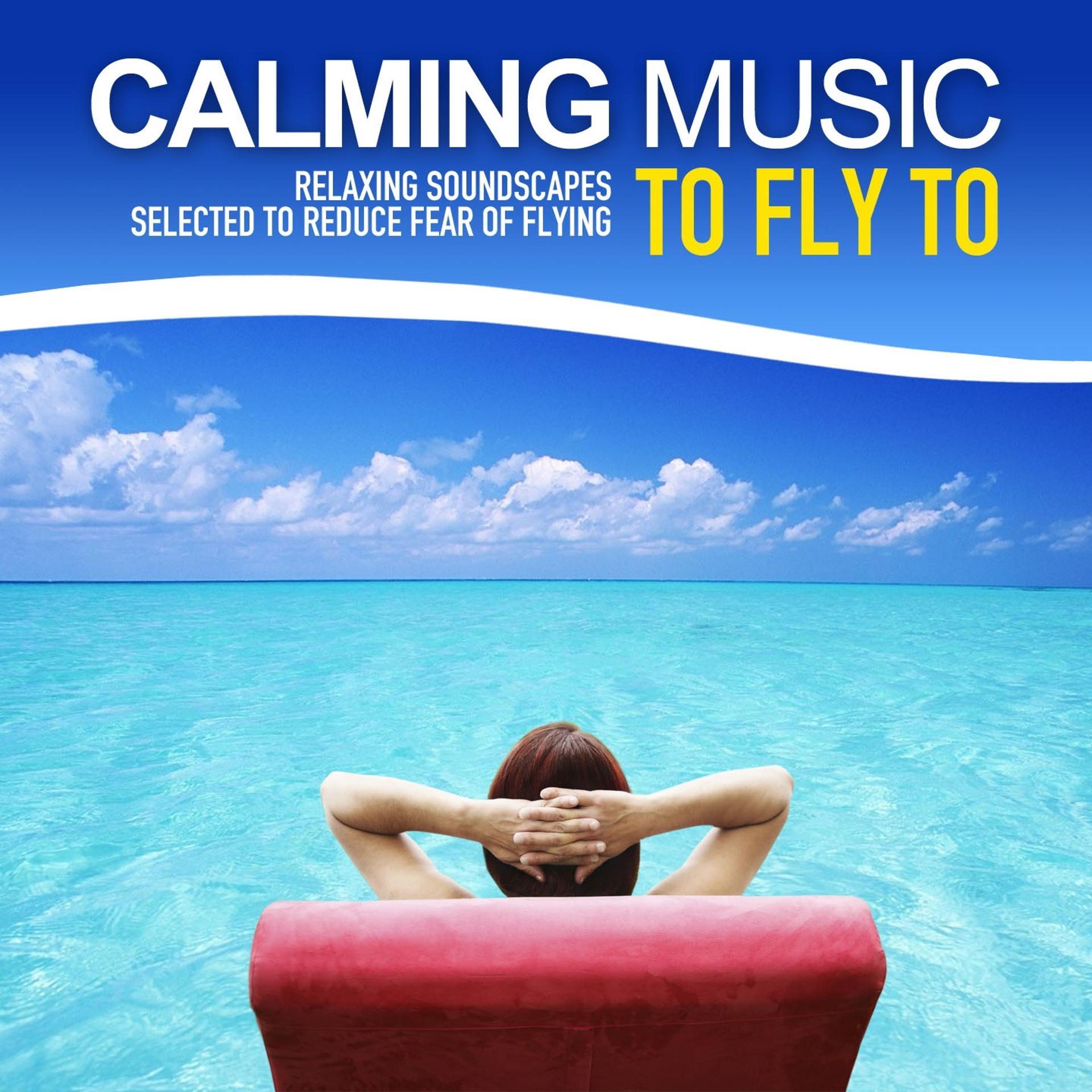 Постер альбома Calming Music to Fly to