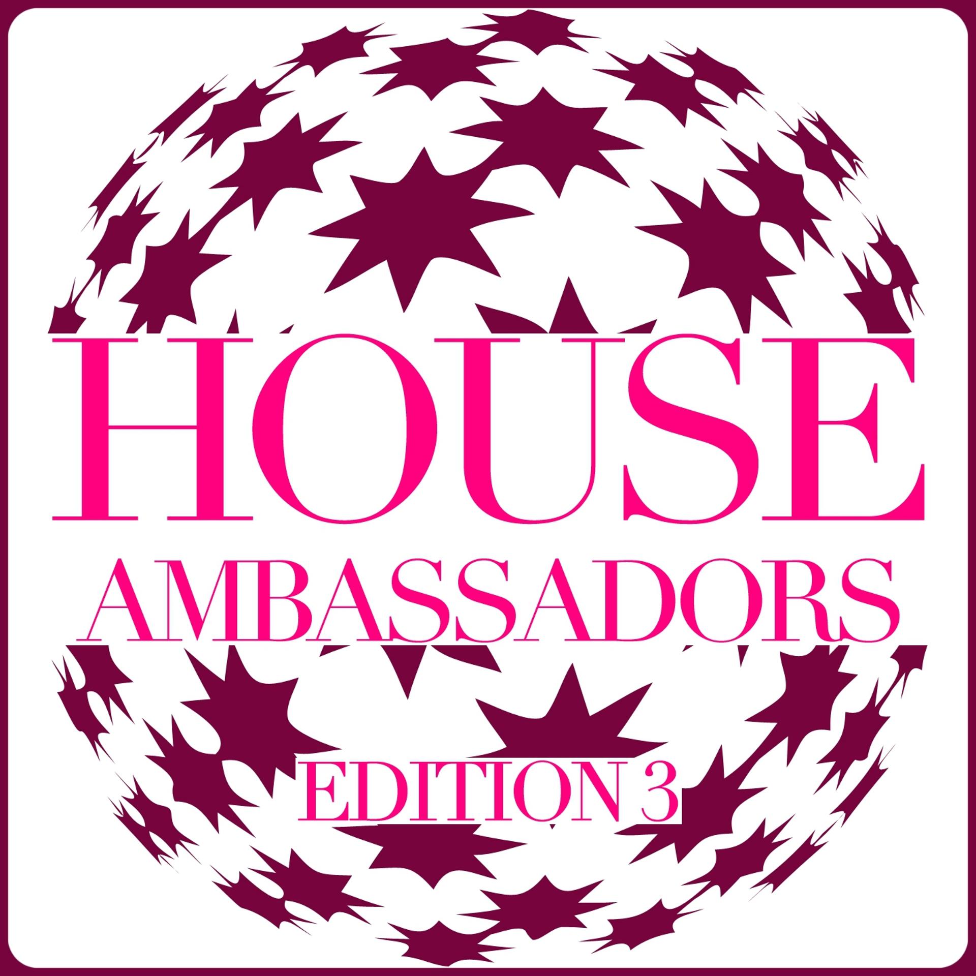 Постер альбома House Ambassadors - Edition 3
