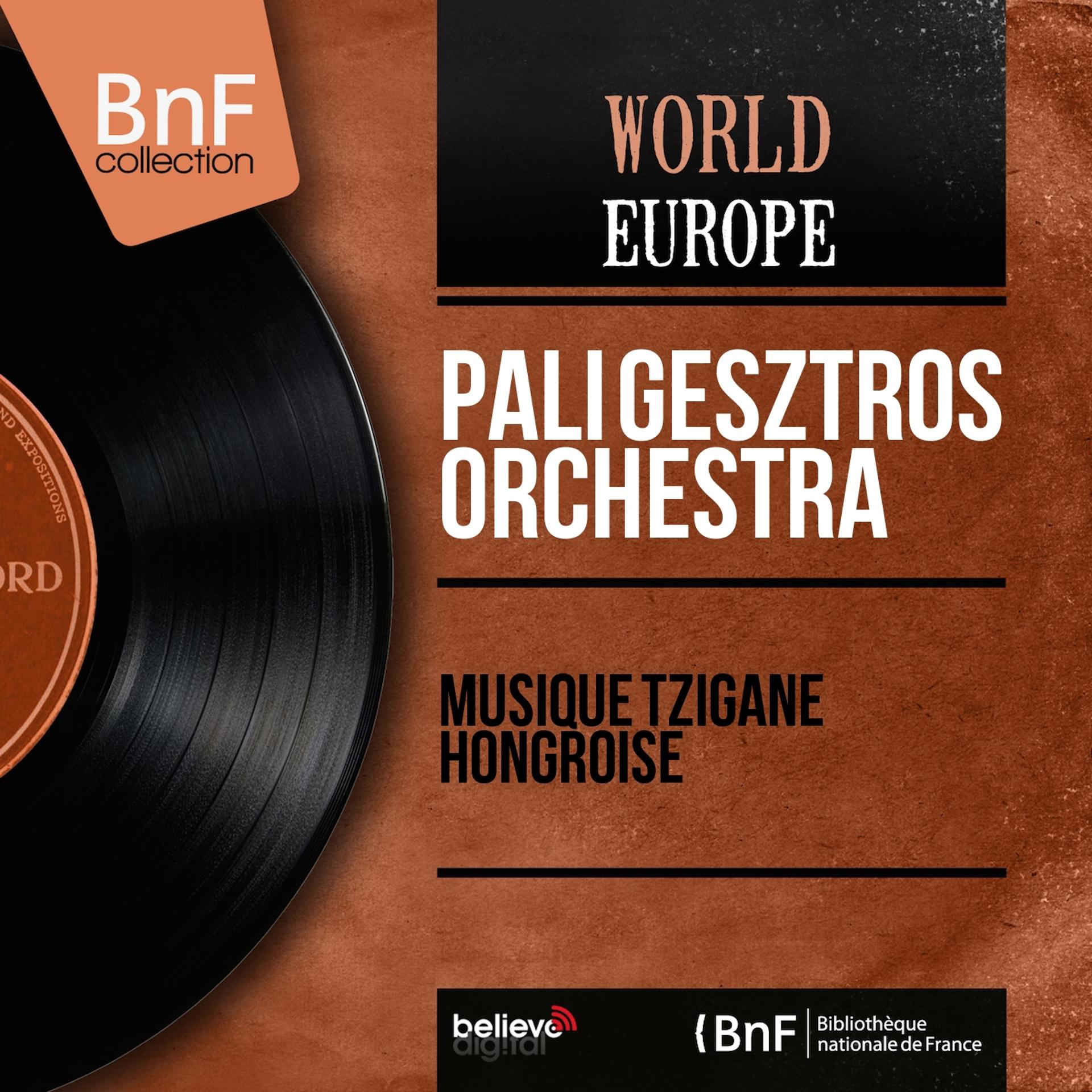 Постер альбома Musique tzigane hongroise (Arranged By Pali Gesztros, Stereo version)