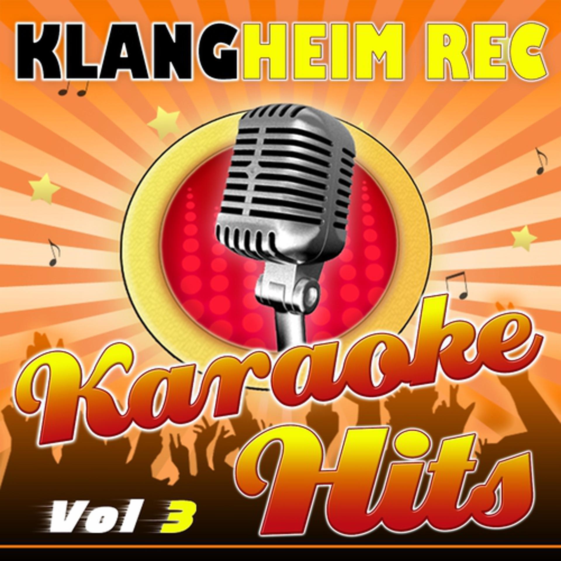 Постер альбома Karaoke Hits, Vol. 3