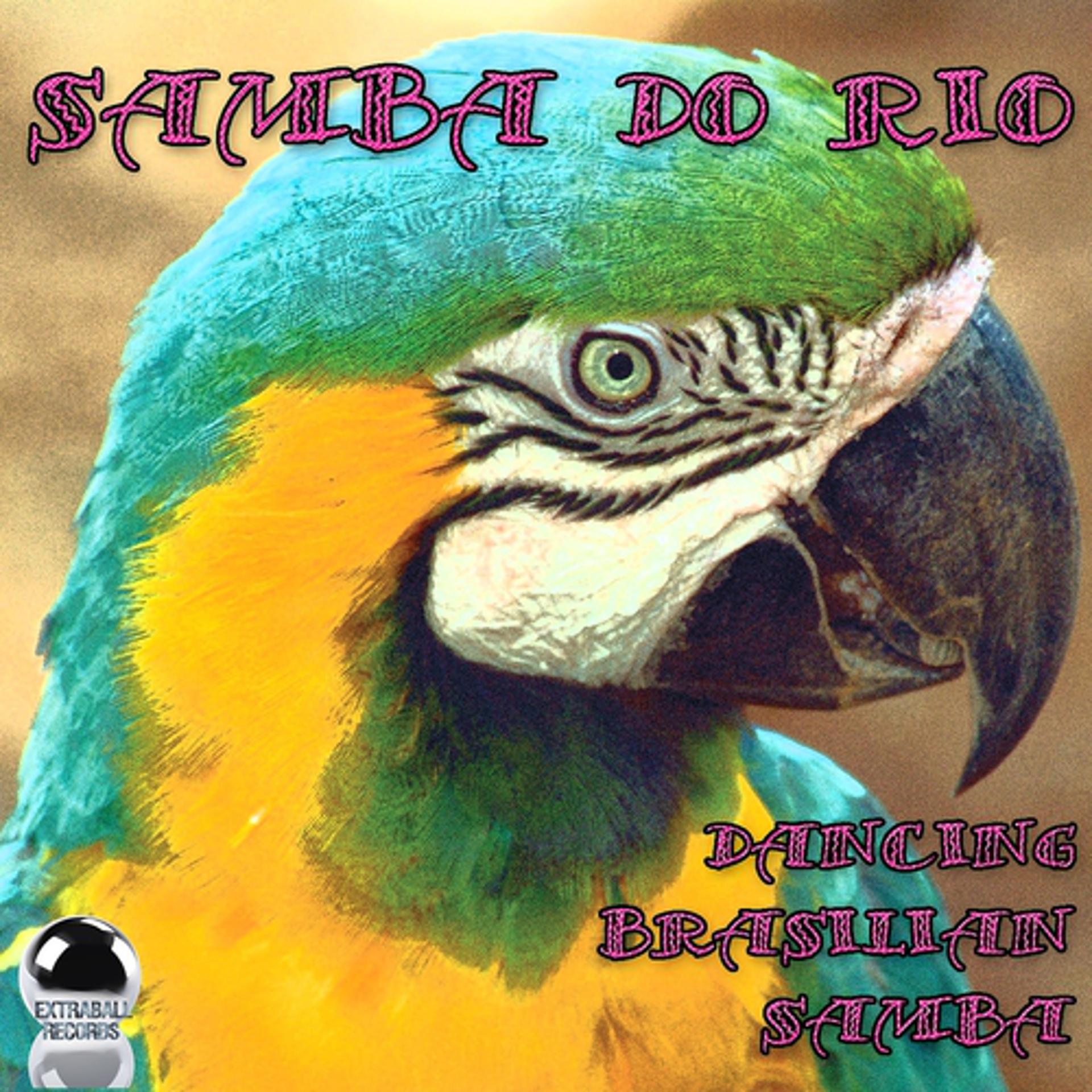 Постер альбома Samba do rio