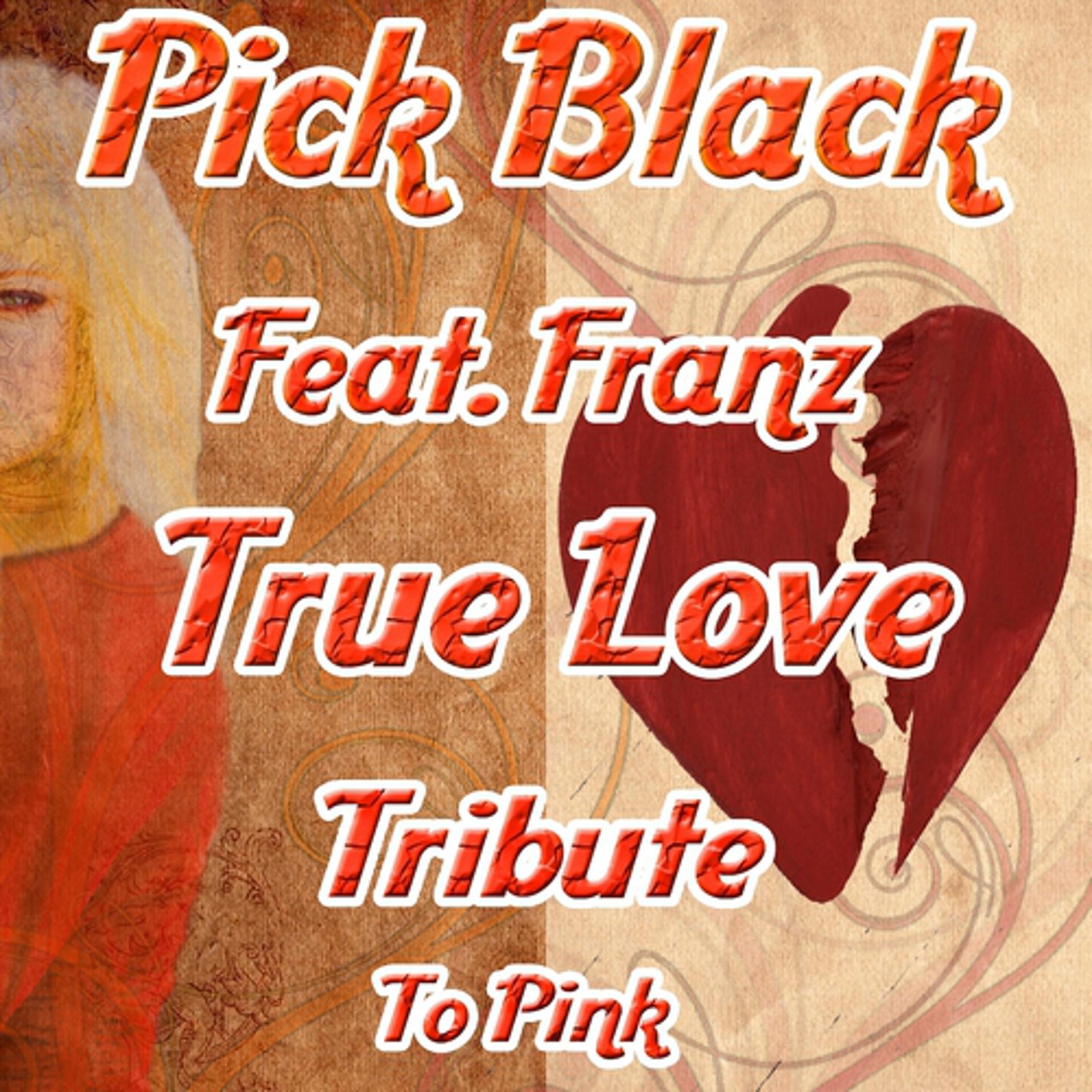 Постер альбома True Love Tribute to Pink
