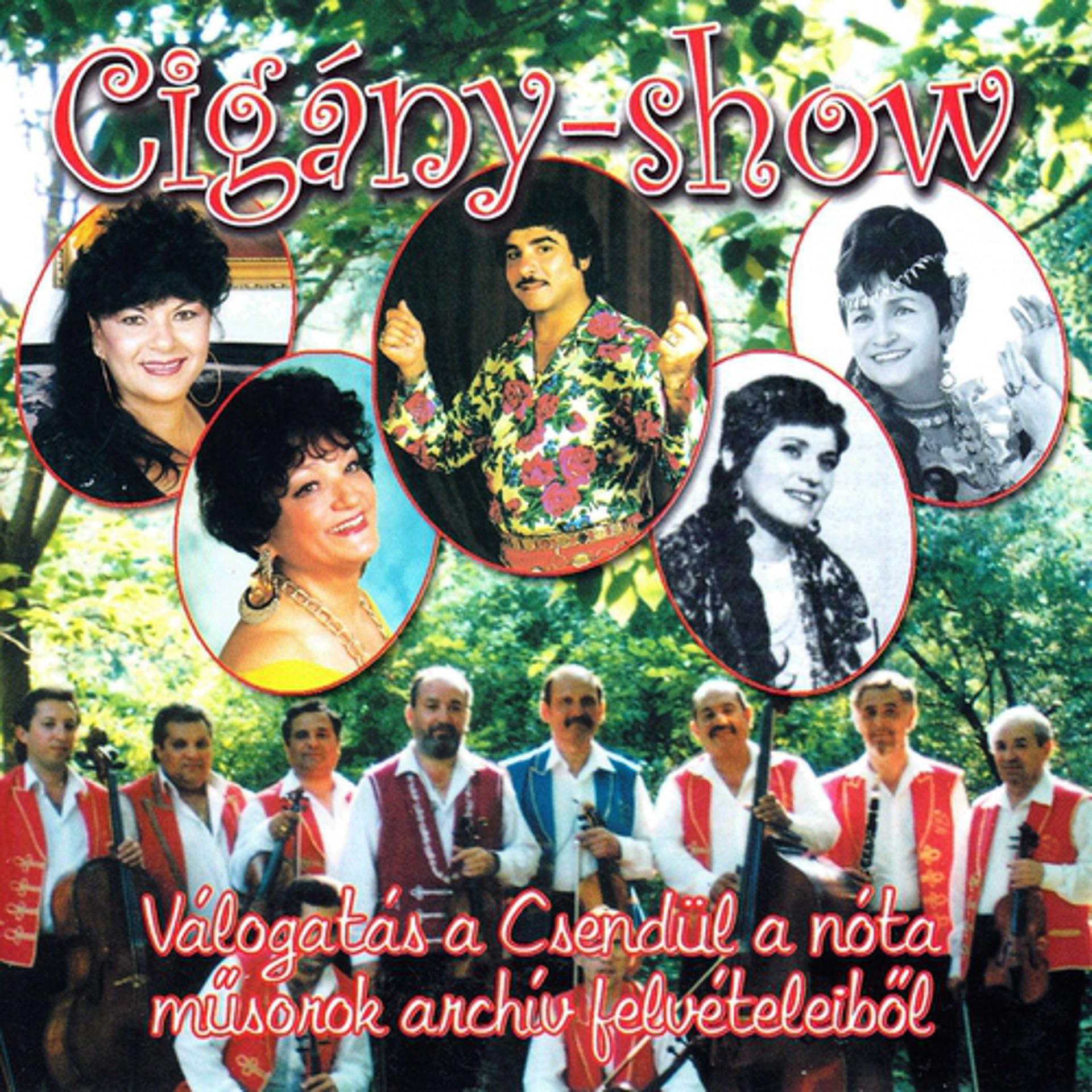 Постер альбома Cigány-Show
