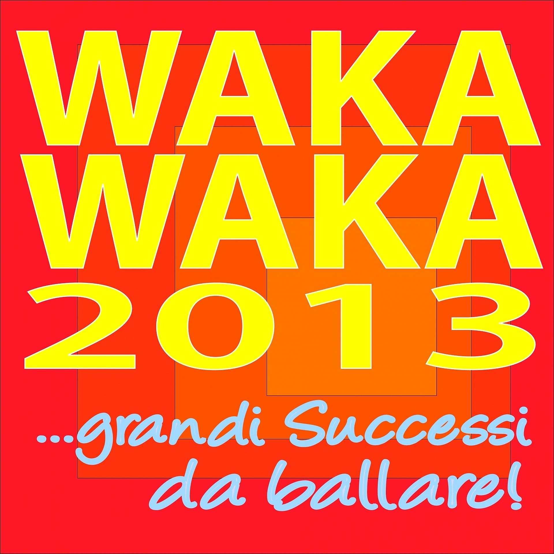 Постер альбома Waka Waka 2013 ...grandi Successi Da Ballare!