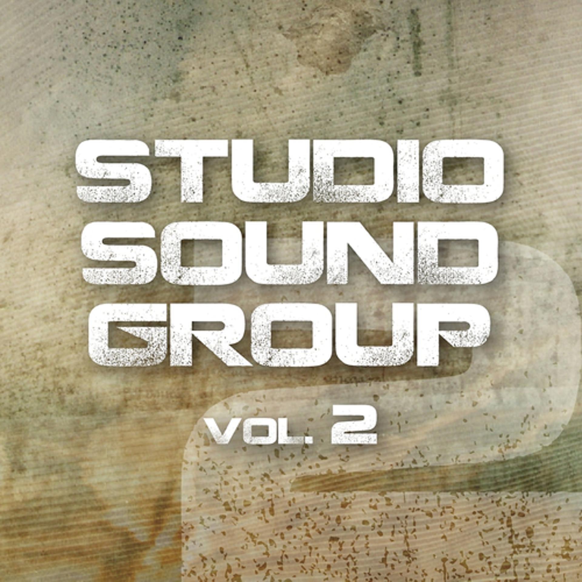 Постер альбома Studio Sound Group, Vol. 2