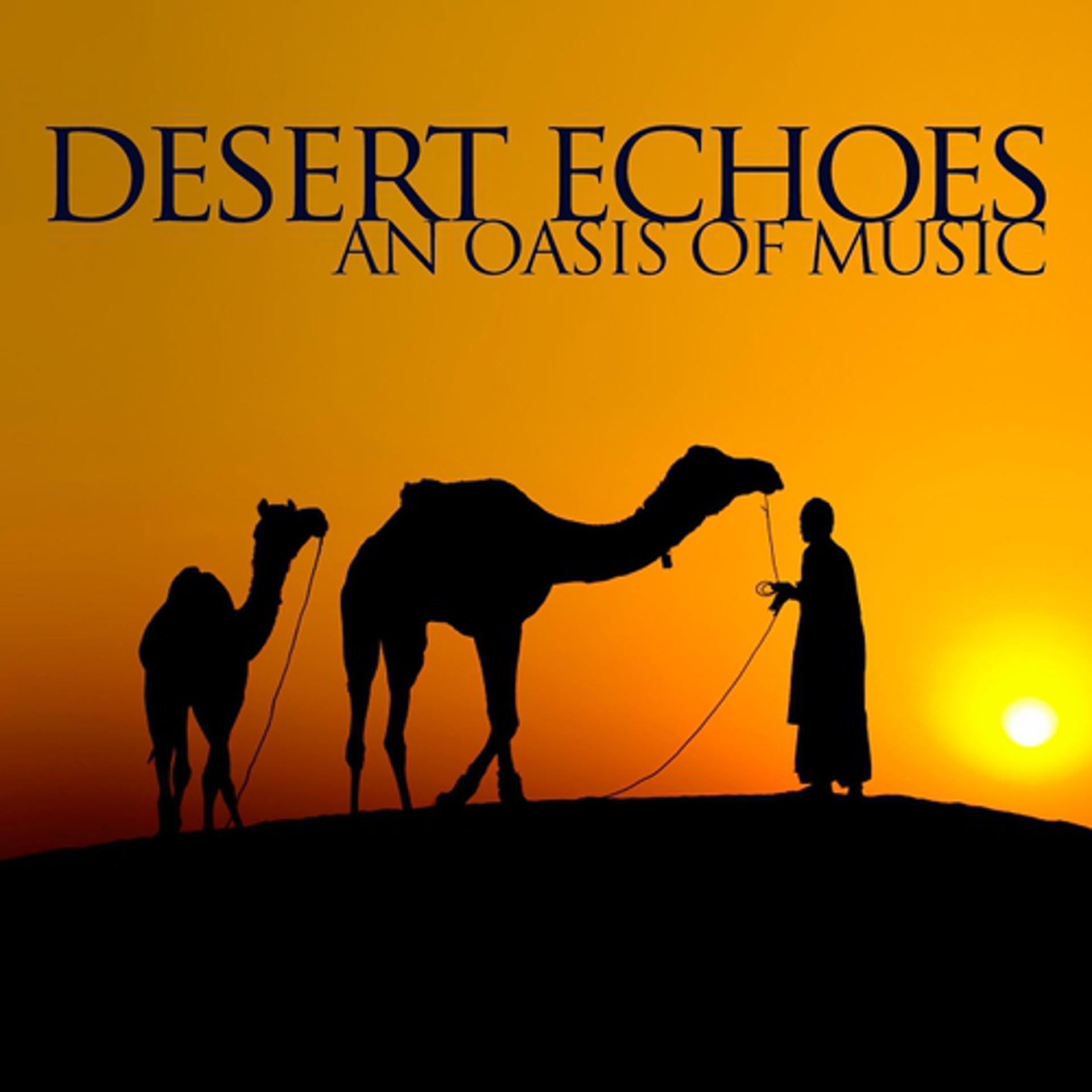 Постер альбома Desert Echoes, an Oasis of Music