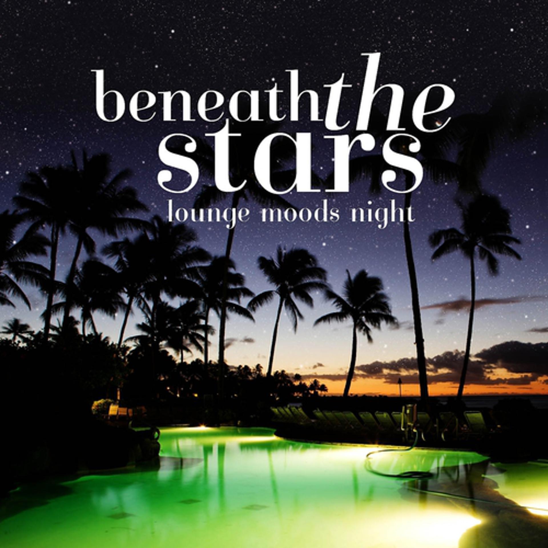 Постер альбома Beneath the Stars - Lounge Moods Night