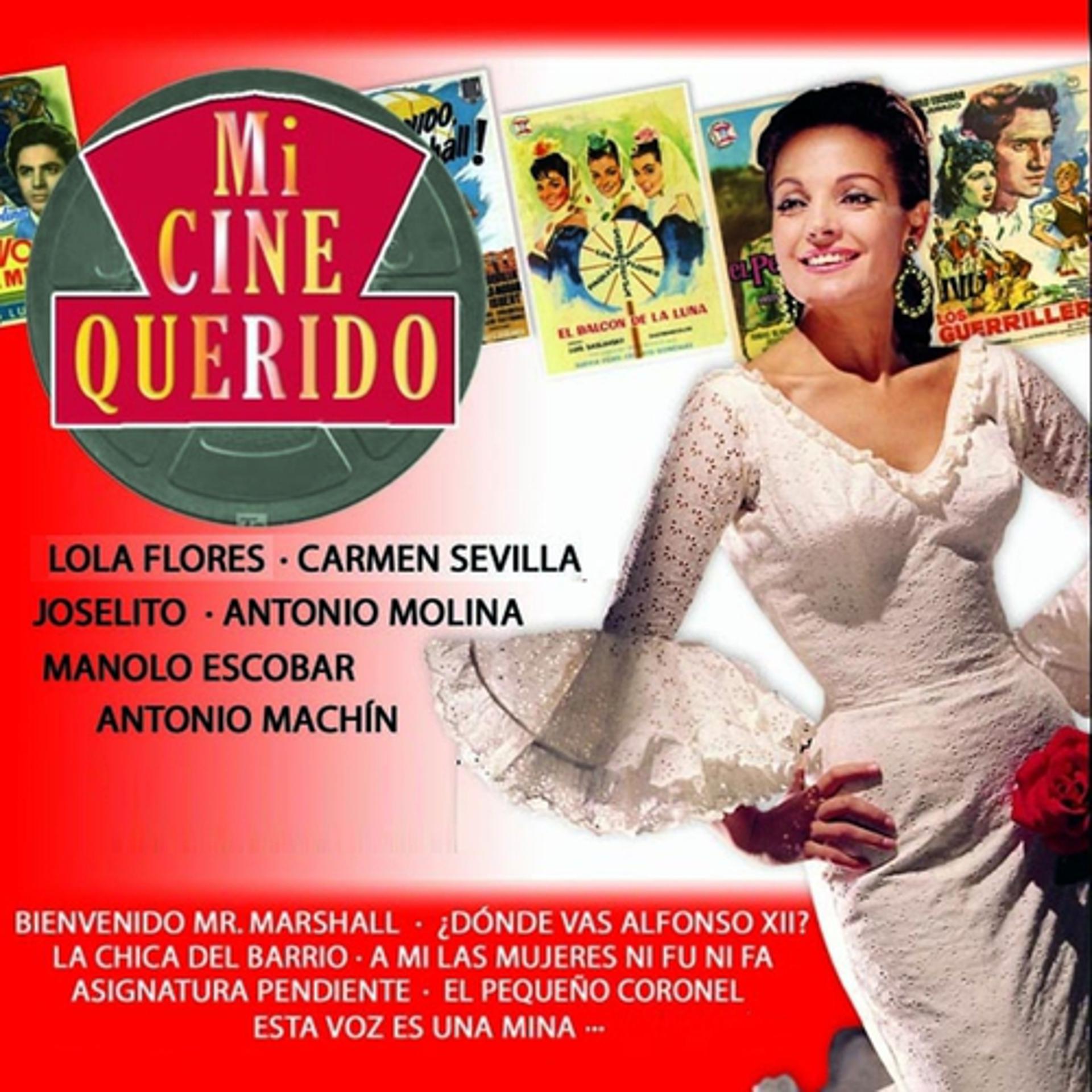 Постер альбома Mi Cine Querido