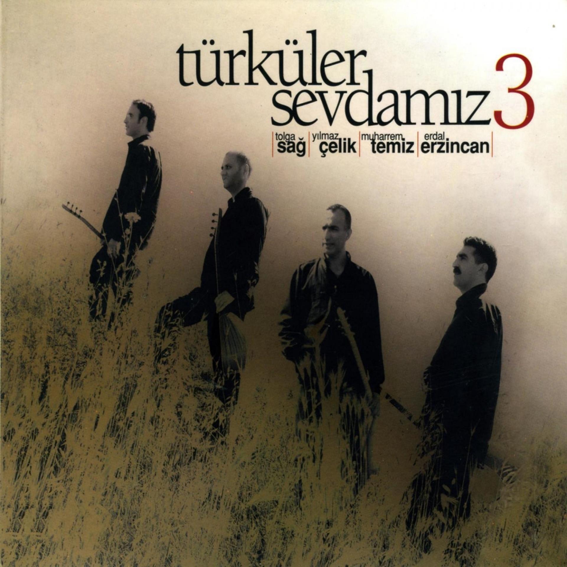 Постер альбома Türküler Sevdamız, Vol. 3