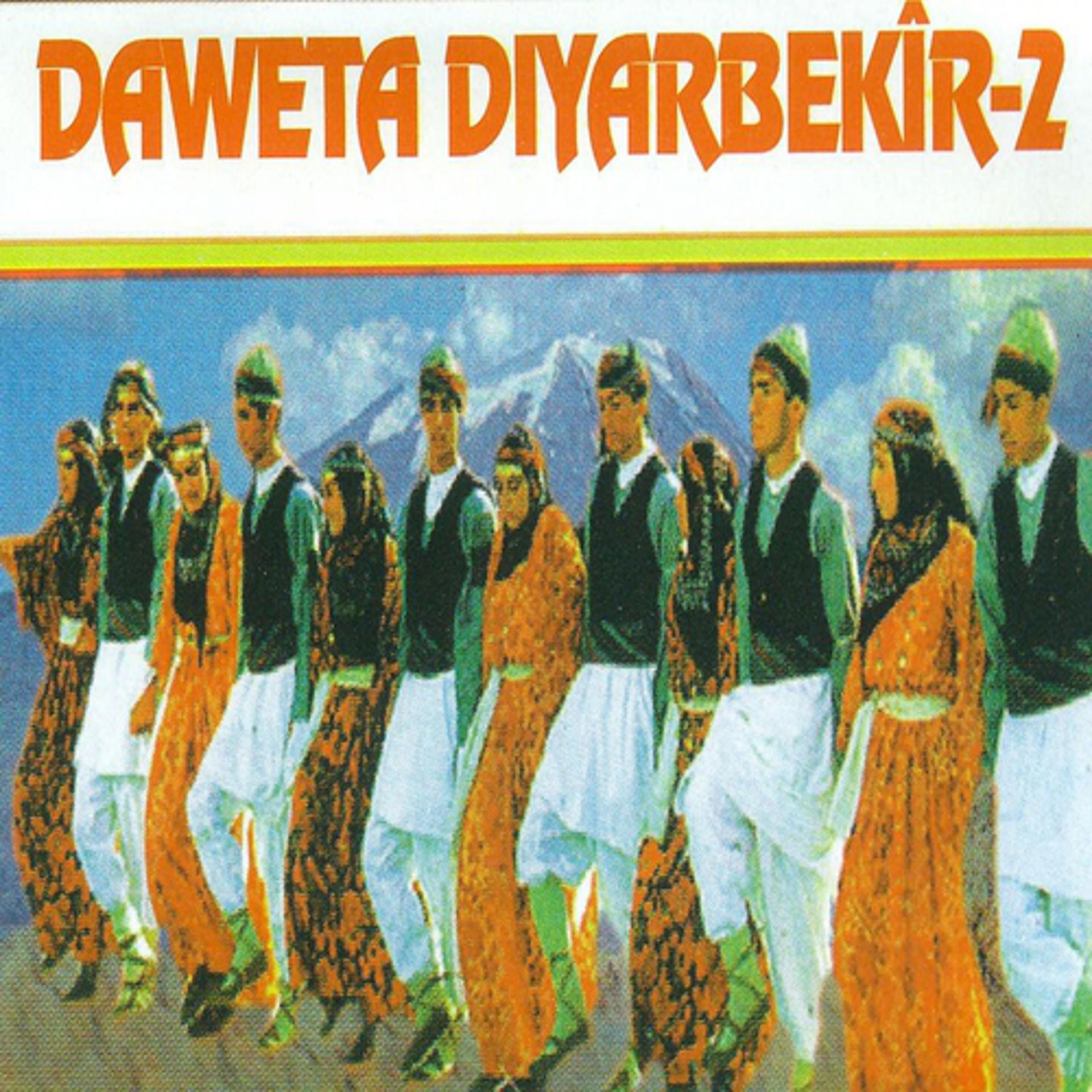 Постер альбома Daweta Diyarbekîr, Vol. 2