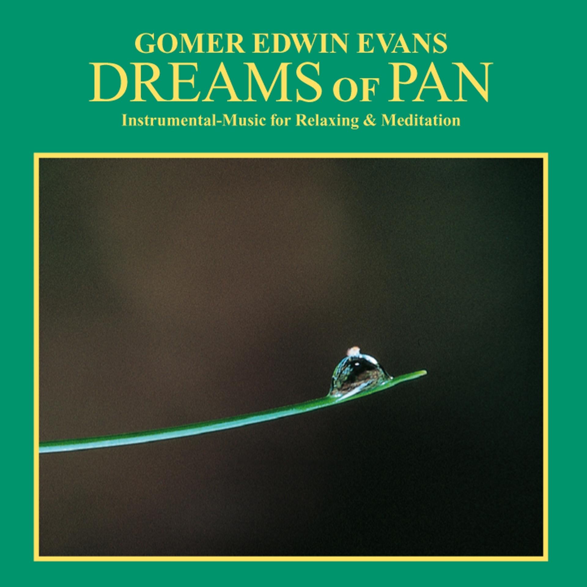 Постер альбома Dreams of Pan: Instrumental Music for Relaxation & Meditation