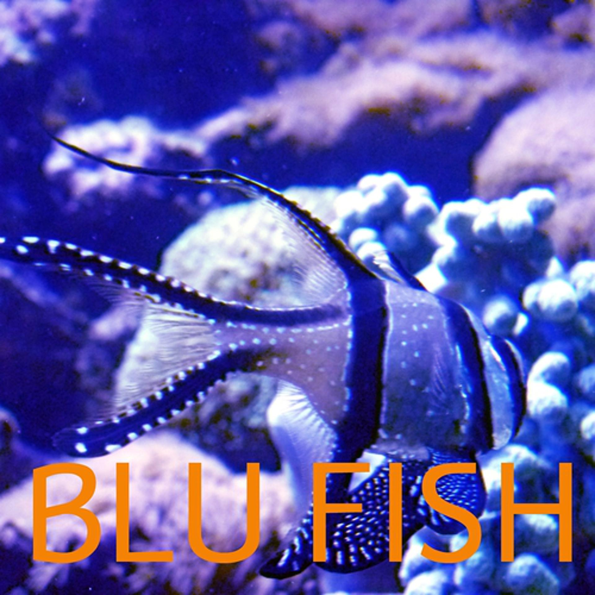 Постер альбома Blu Fish