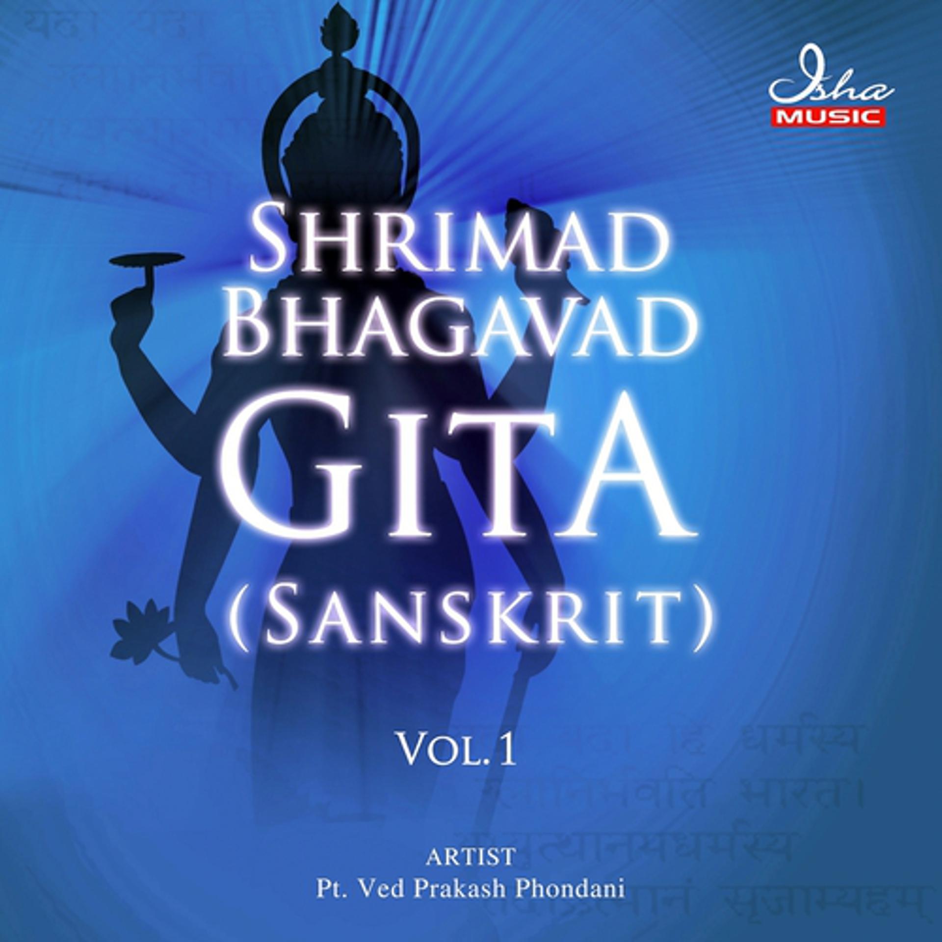 Постер альбома Shrimad Bhagavad Gita: Sanskrit, Vol. 1