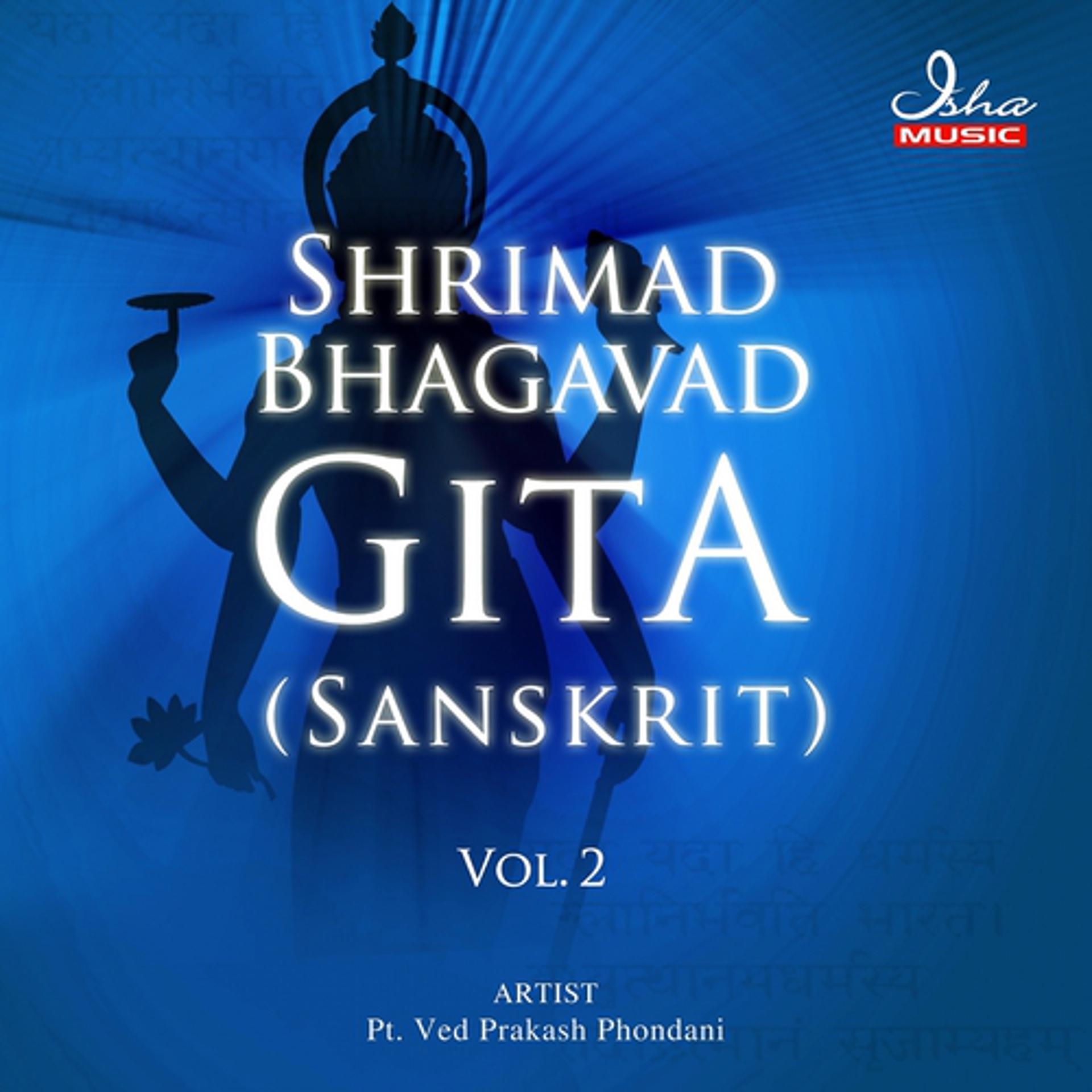 Постер альбома Shrimad Bhagavad Gita: Sanskrit, Vol. 2