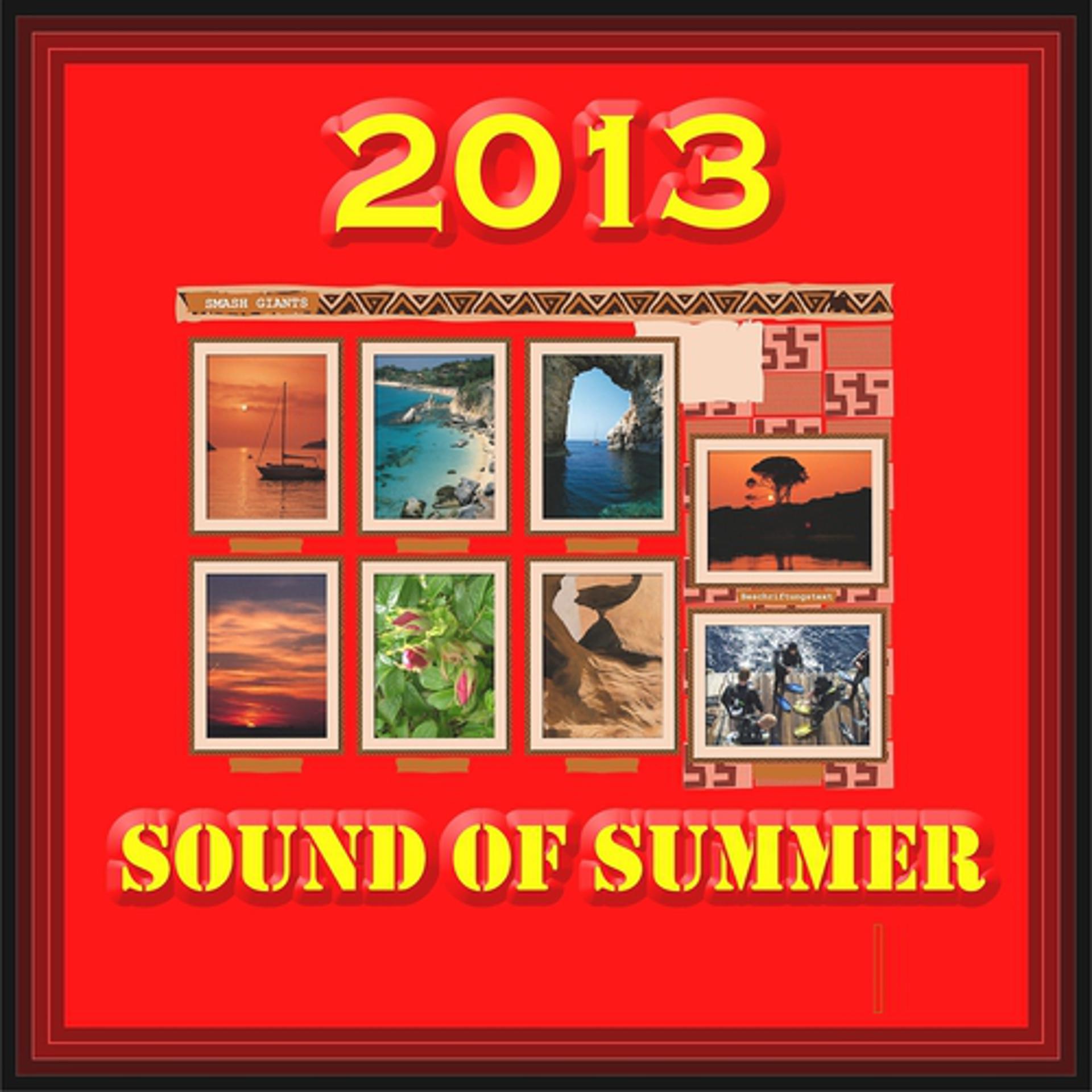 Постер альбома Sound of Summer 2013