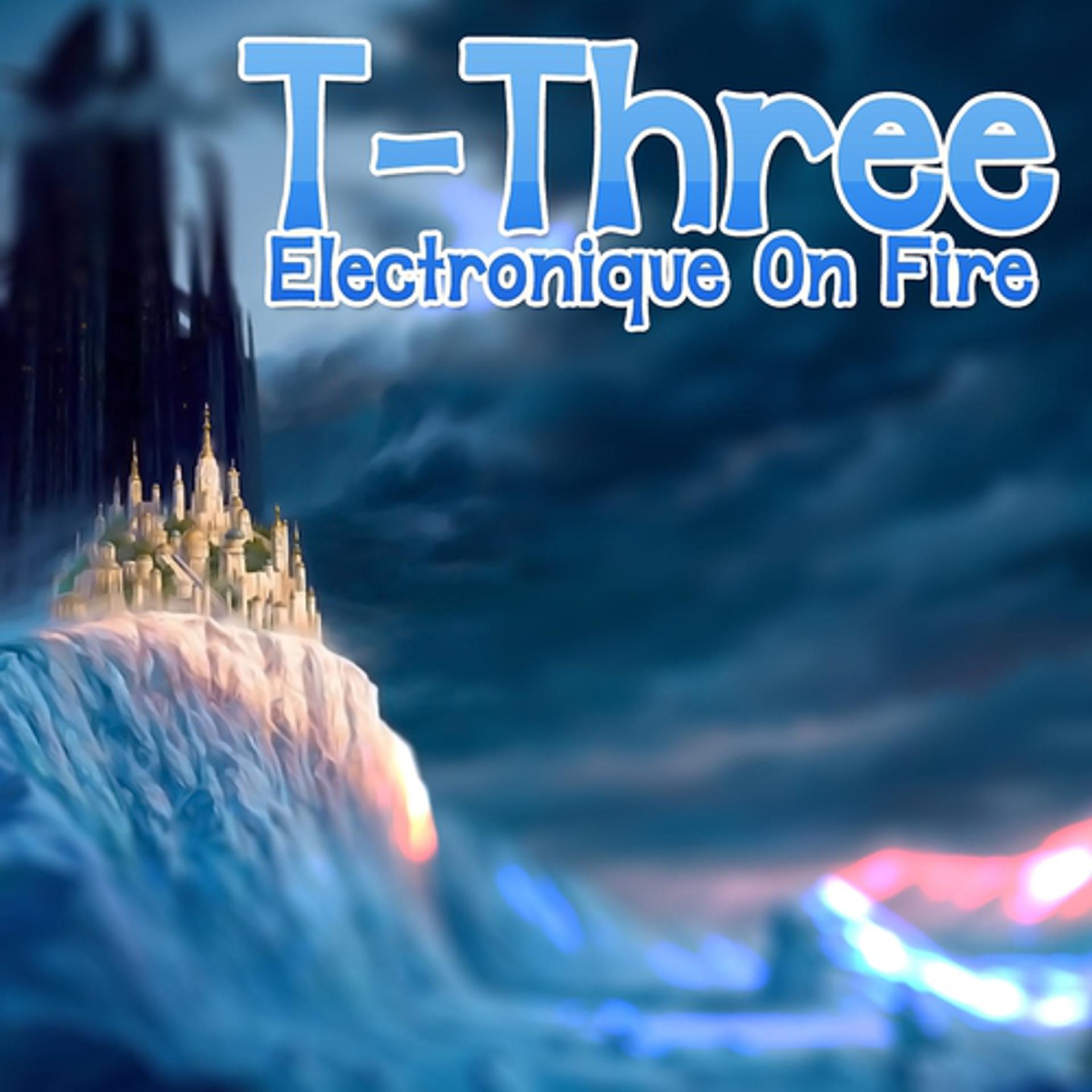 Постер альбома Electronique On Fire
