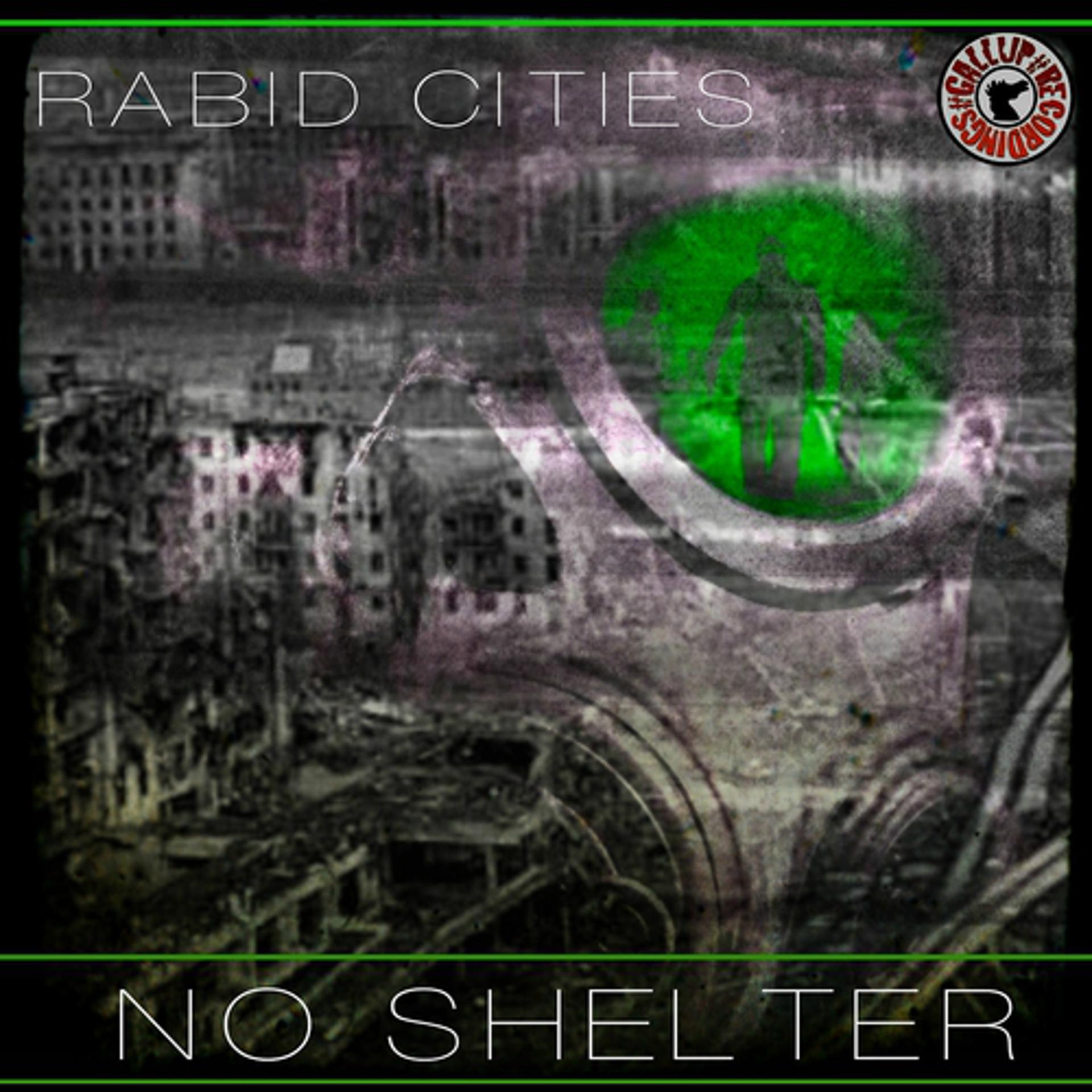 Постер альбома No Shelter