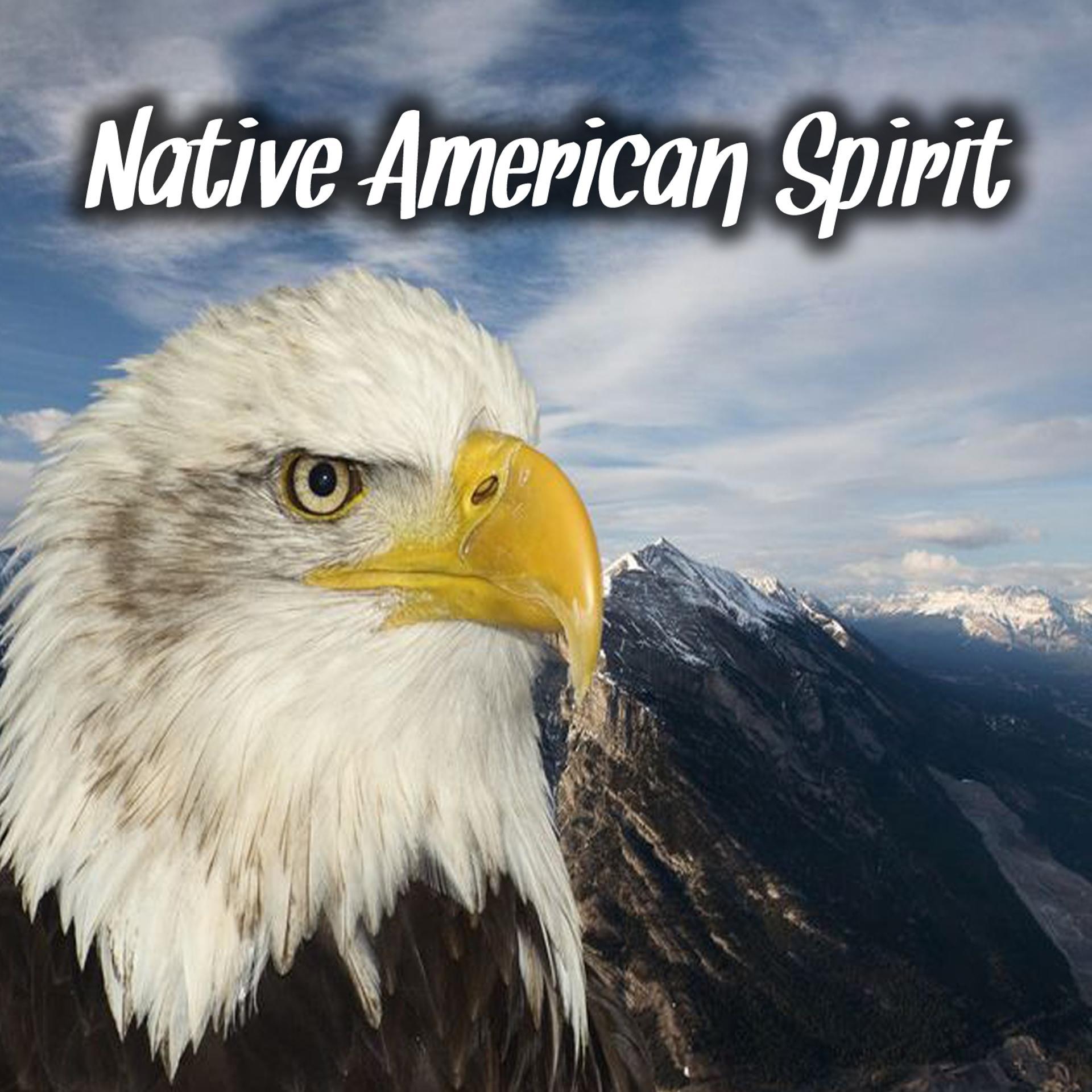 Постер альбома Native American Spirit