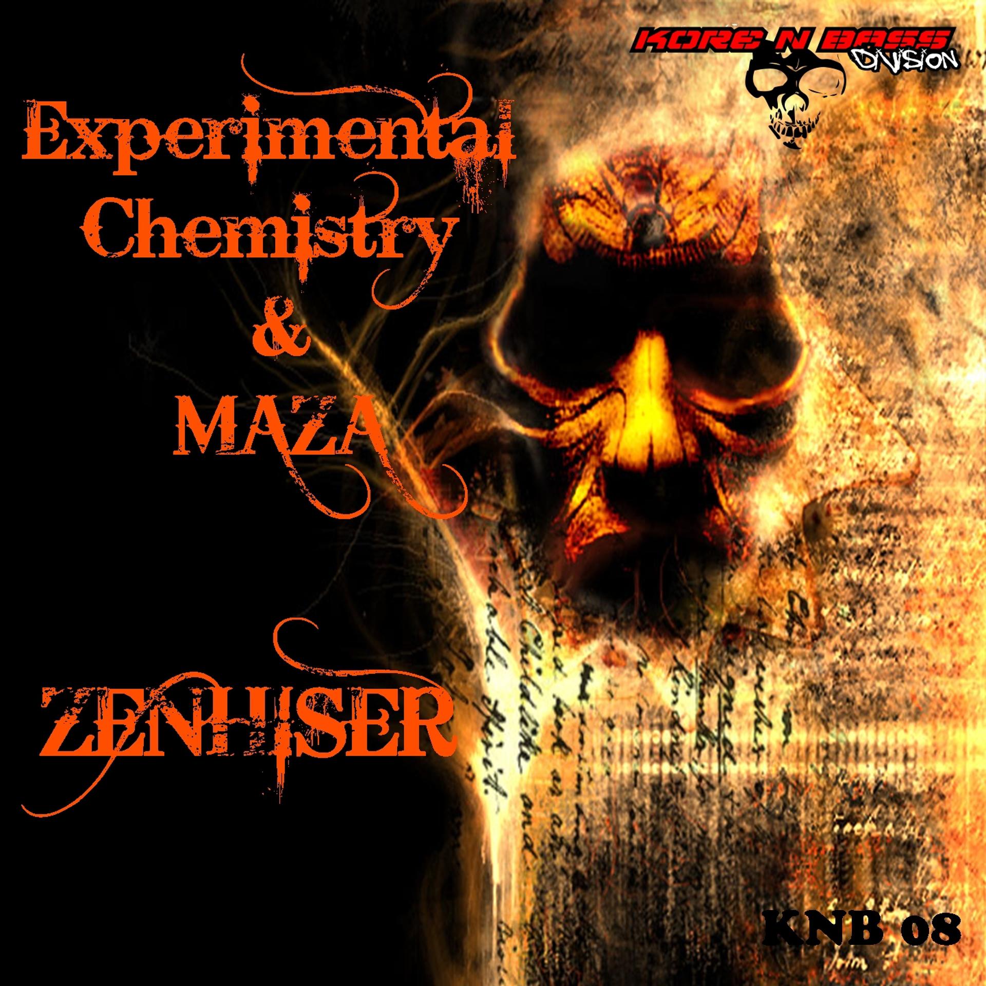 Постер альбома Zenhiser