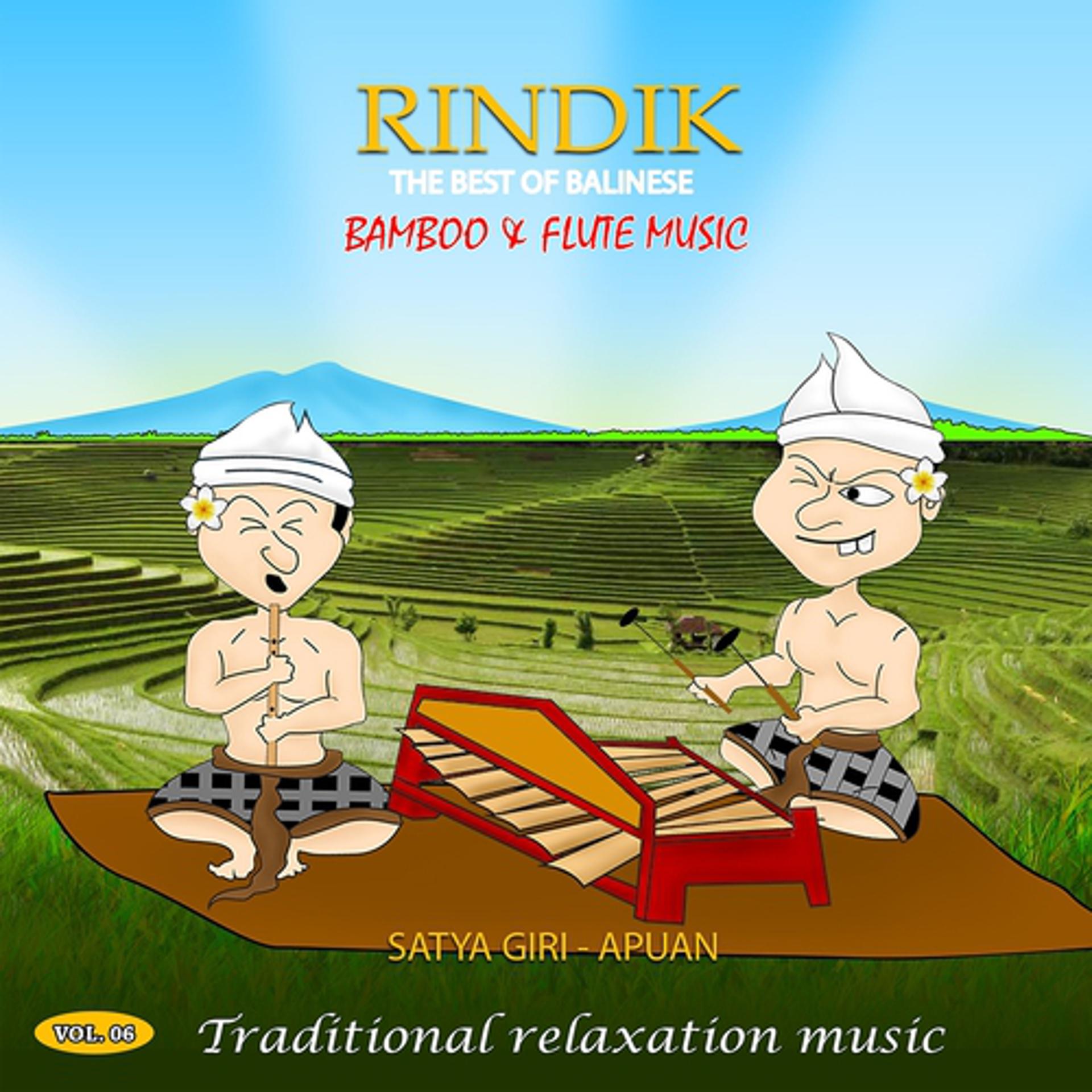 Постер альбома Rindik, Vol. 6