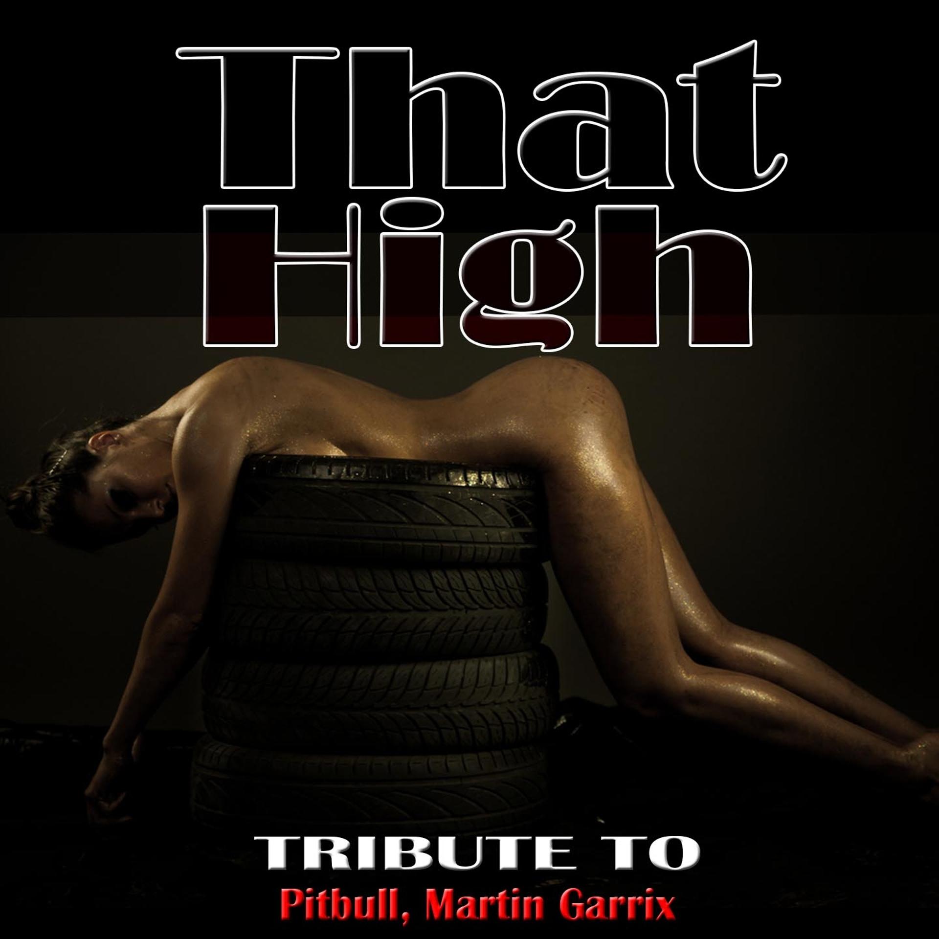 Постер альбома That High: Tribute to Pitbull, Martin Garrix