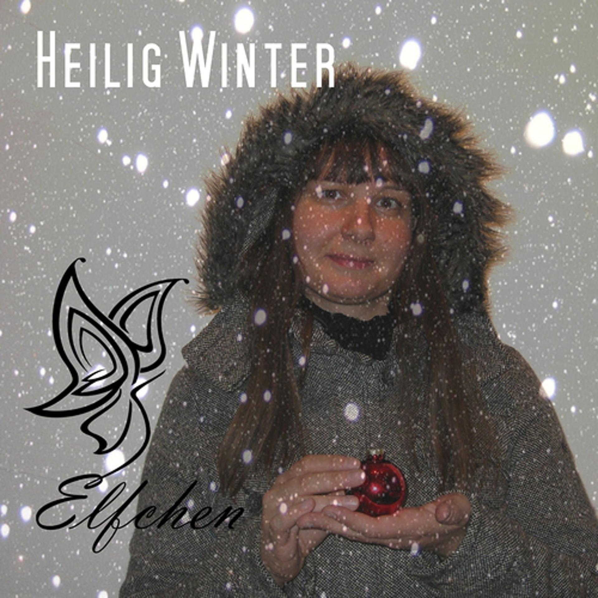Постер альбома Heilig Winter