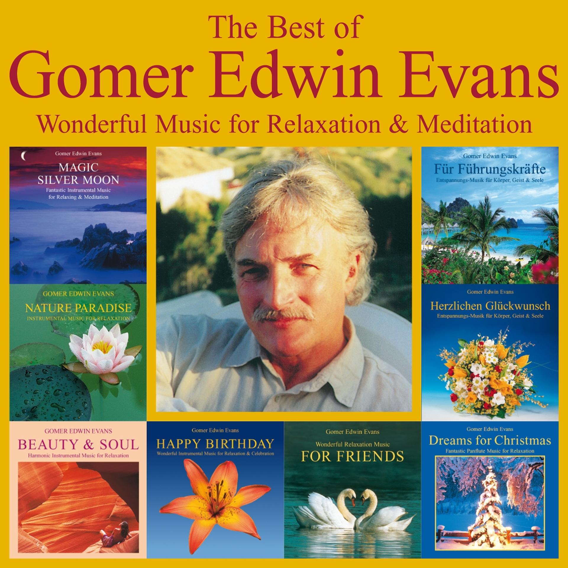 Постер альбома The Best Of Gomer Edwin Evans: Fantastic Instrumental Music