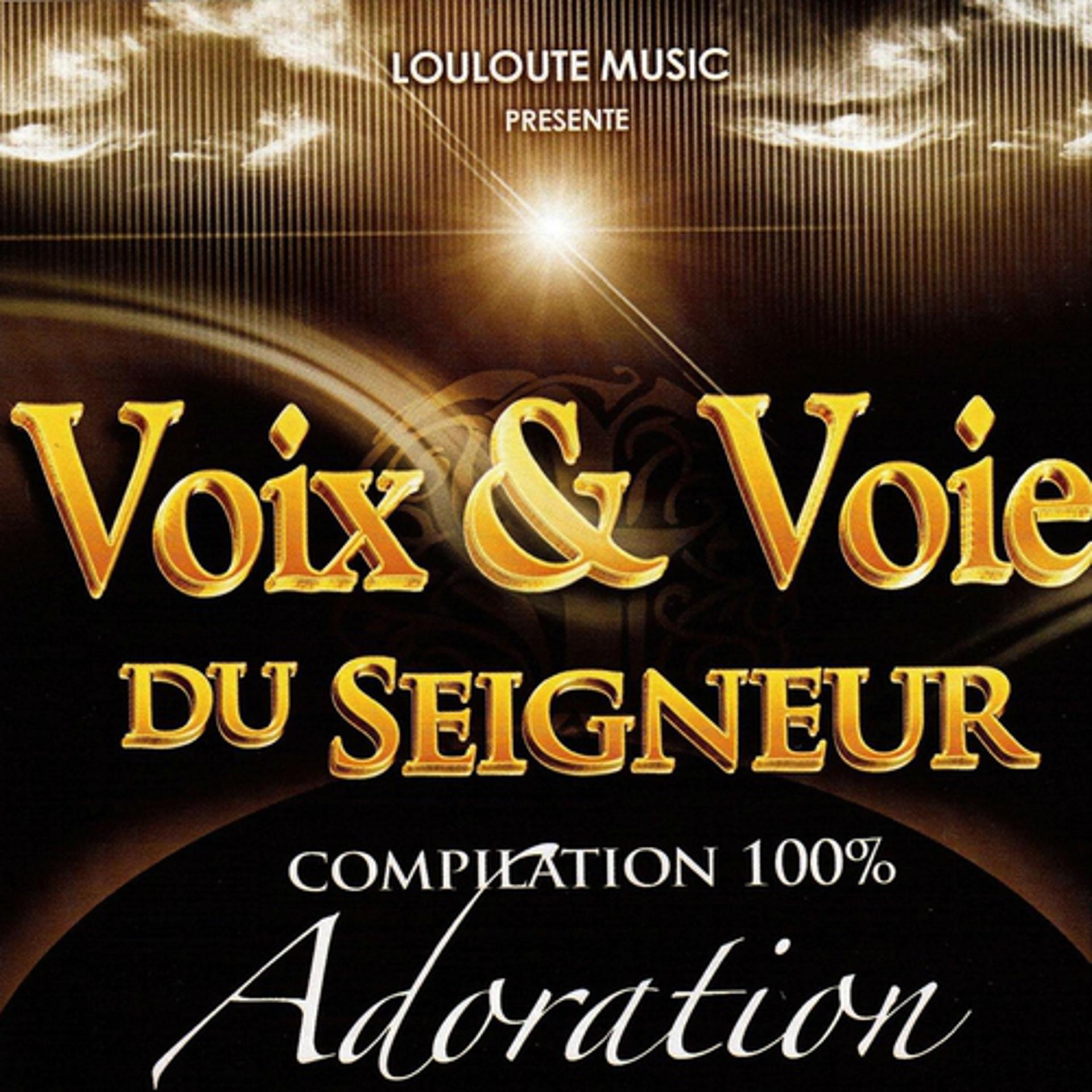 Постер альбома Voix & voie du seigneur, vol. 3 (Compilation 100% adoration)
