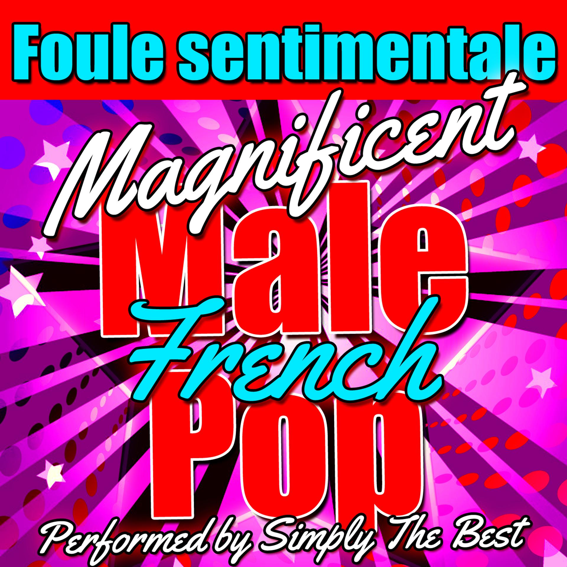 Постер альбома Foule Sentimentale: Magnificent French Male Pop