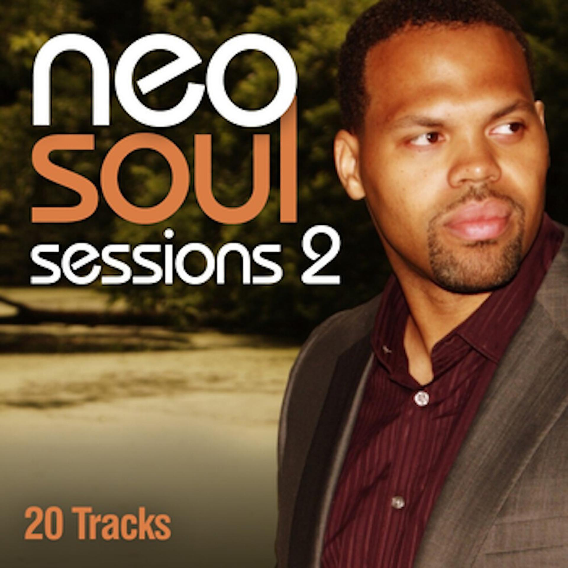 Постер альбома Neo Soul Sessions 2