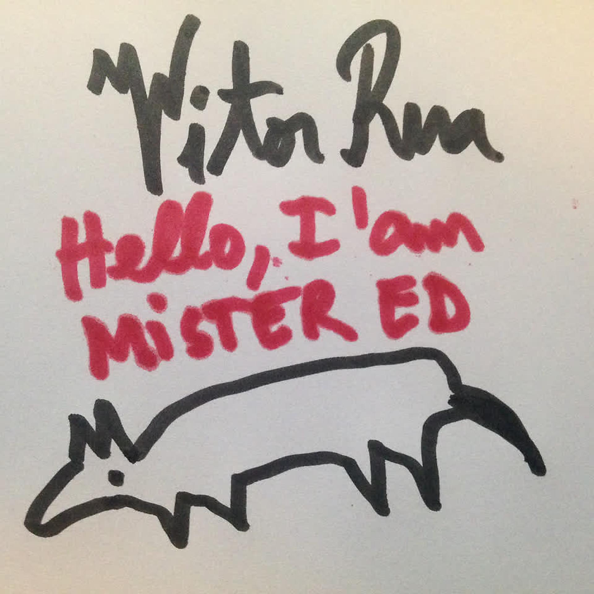 Постер альбома Hello, I'am Mister ED