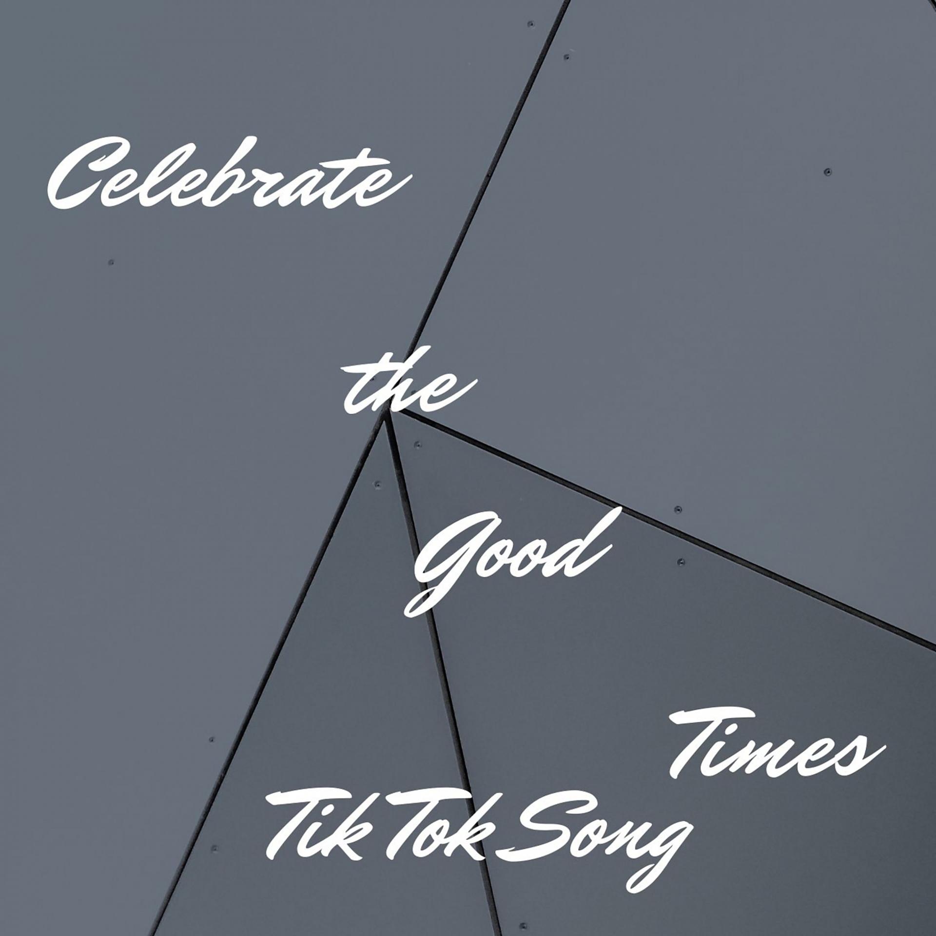 Постер альбома Celebrate the Good Times Tik Tok Song