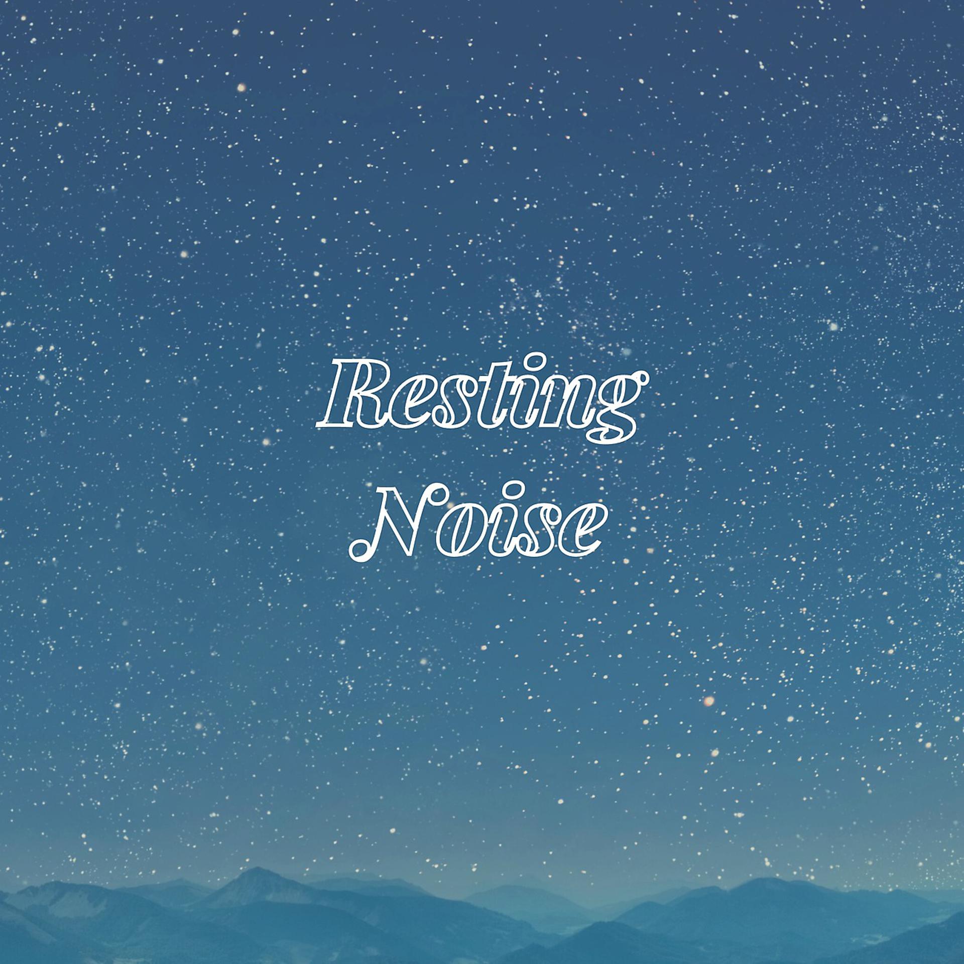 Постер альбома Resting Noise