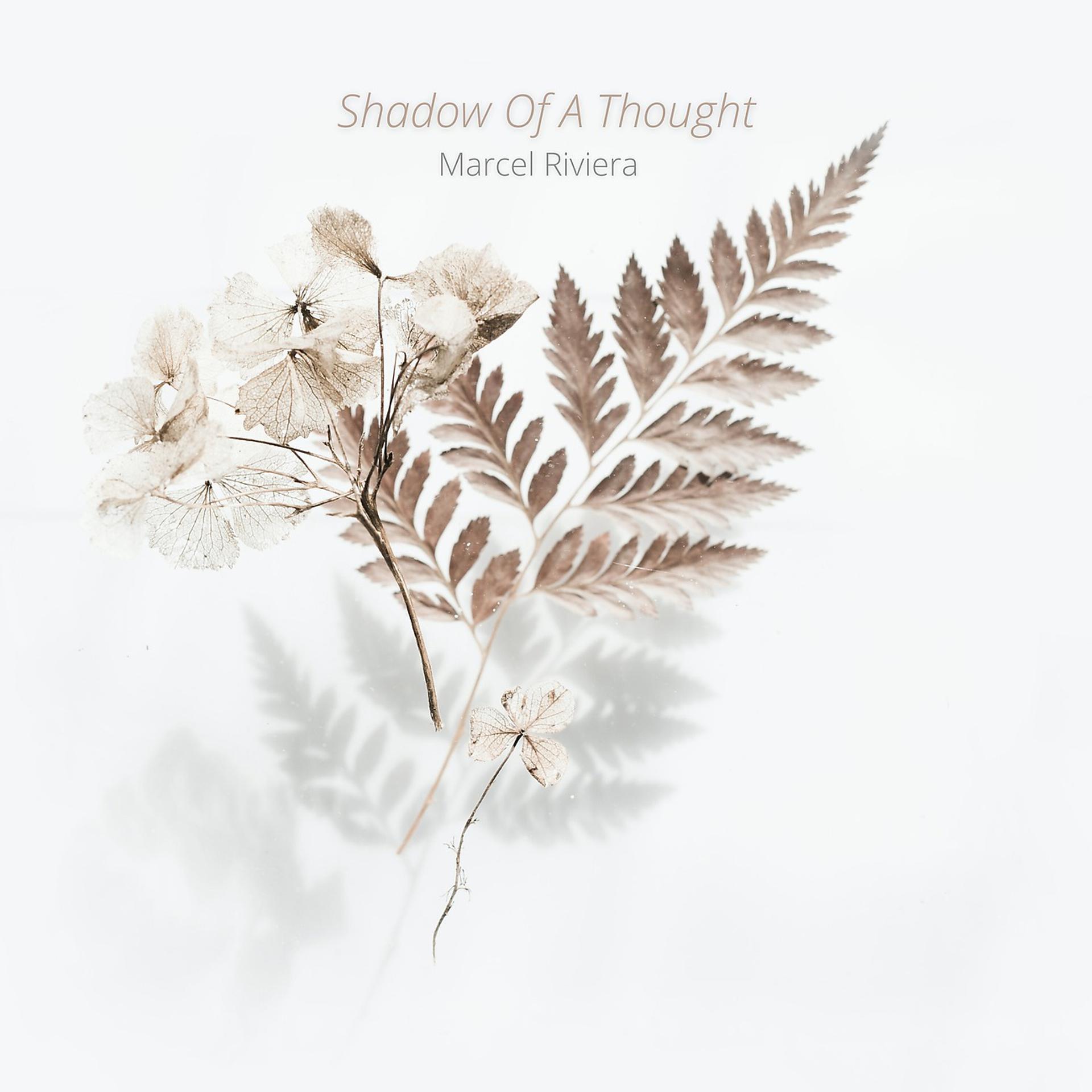 Постер альбома Shadow Of A Thought
