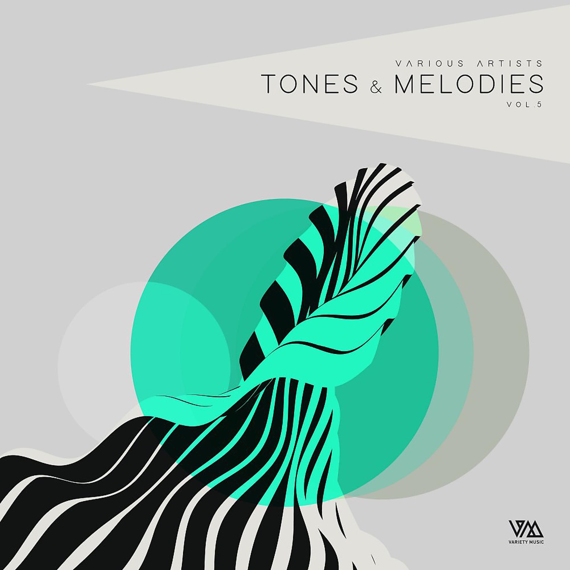 Постер альбома Tones & Melodies, Vol. 5