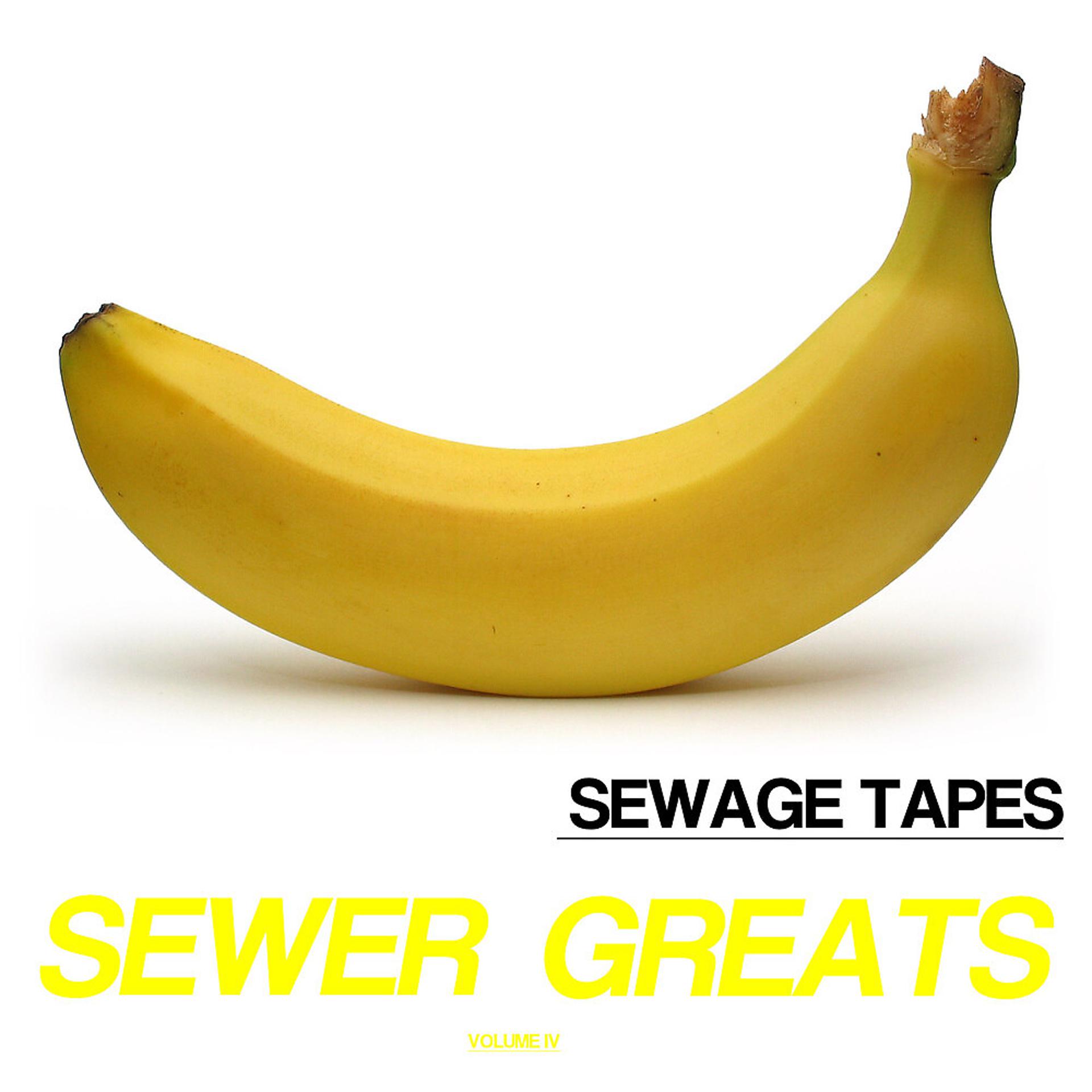 Постер альбома Sewer Greats, Vol. 4