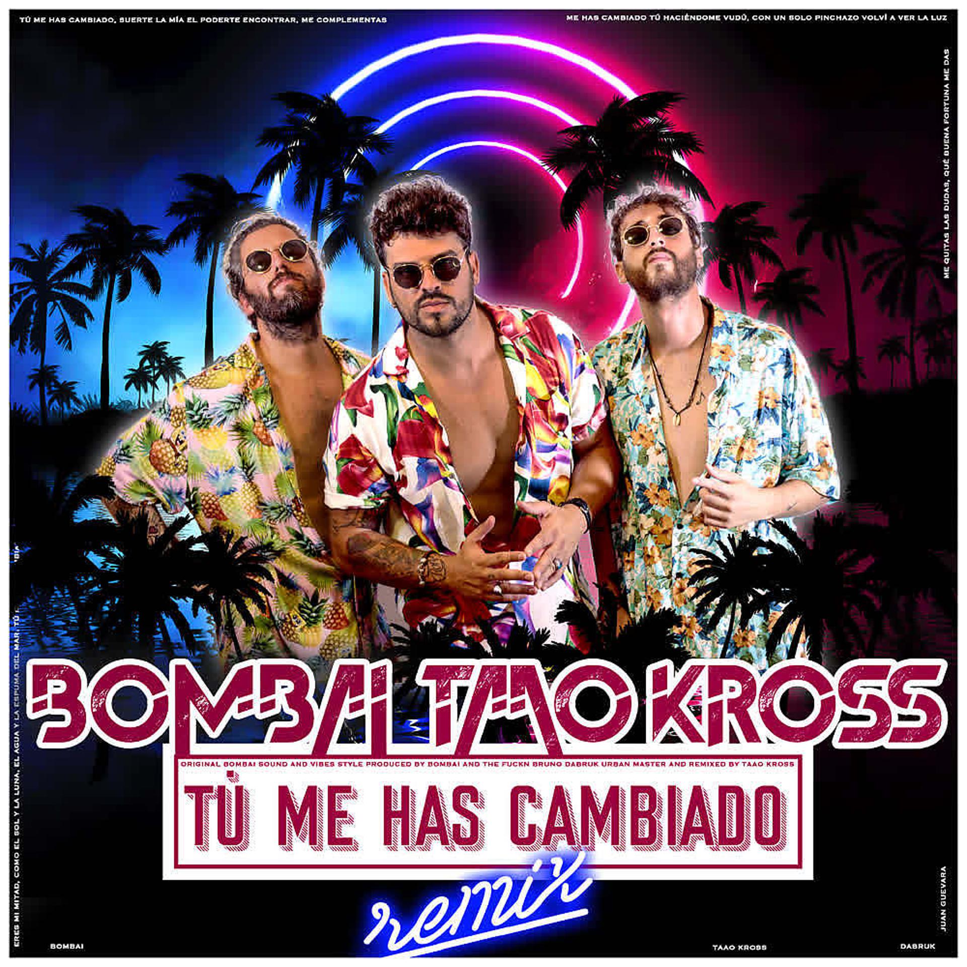 Постер альбома Tú Me Has Cambiado (Bombai & Taao Kross Remix)