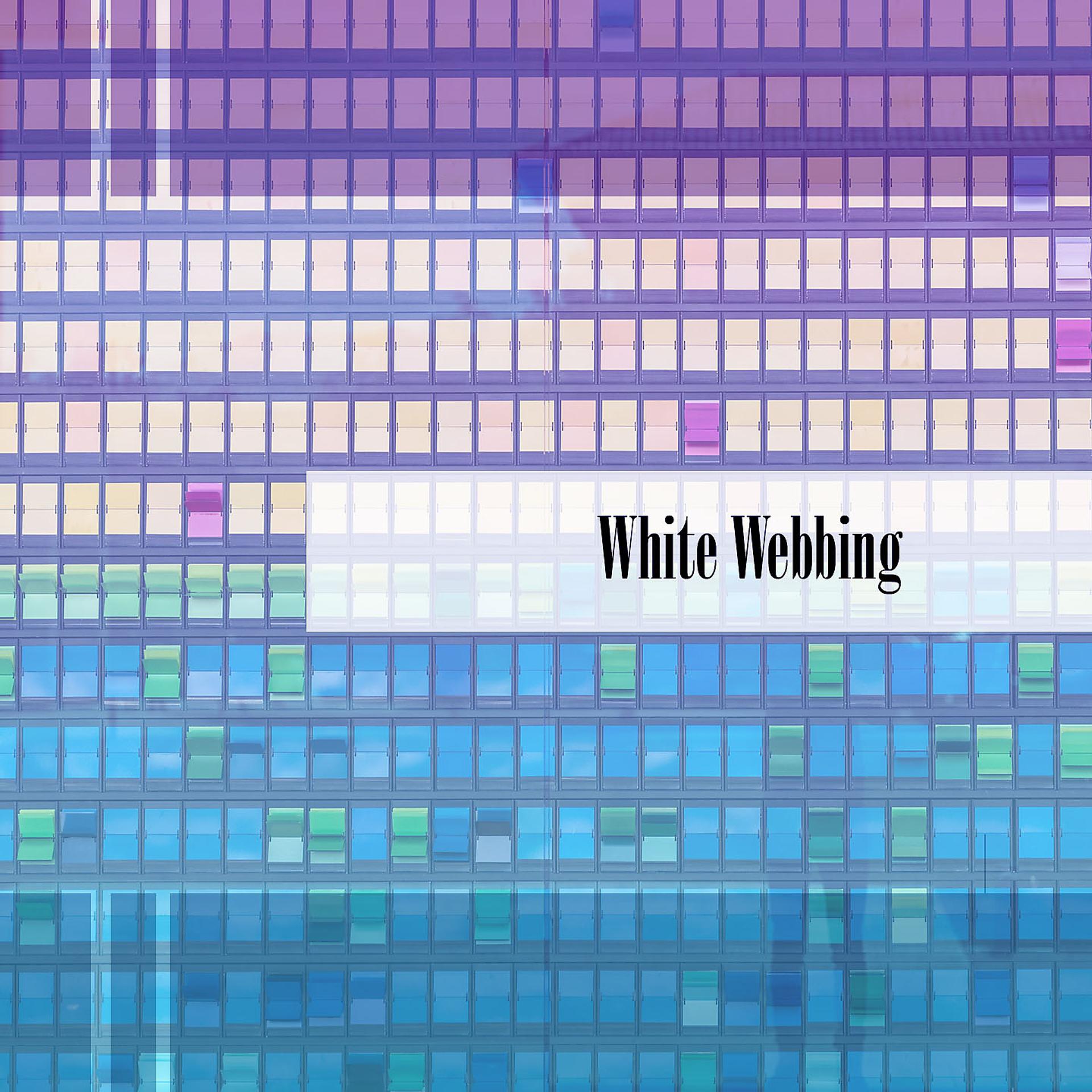 Постер альбома White Webbing