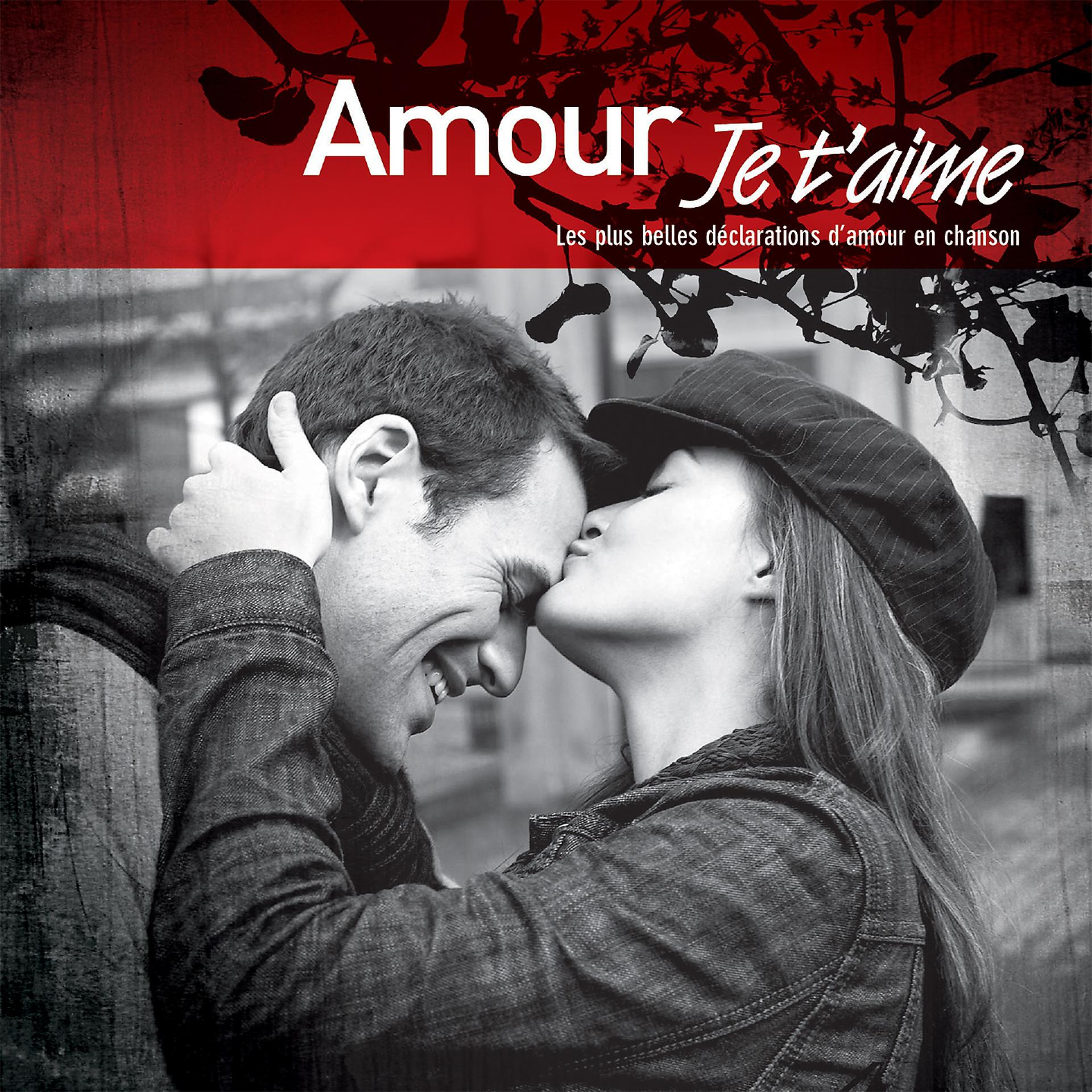 Постер альбома Amour je t'aime
