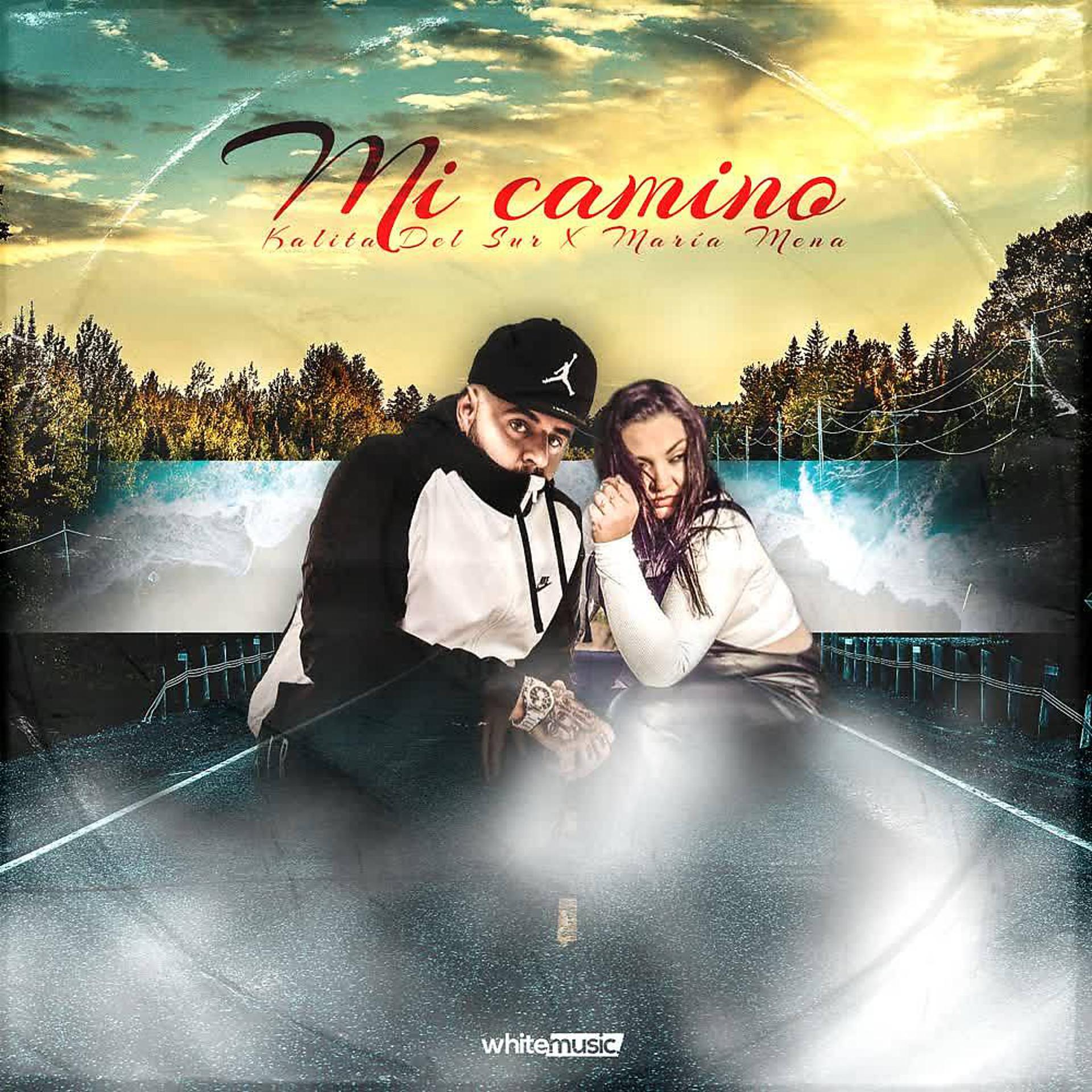 Постер альбома Mi Camino