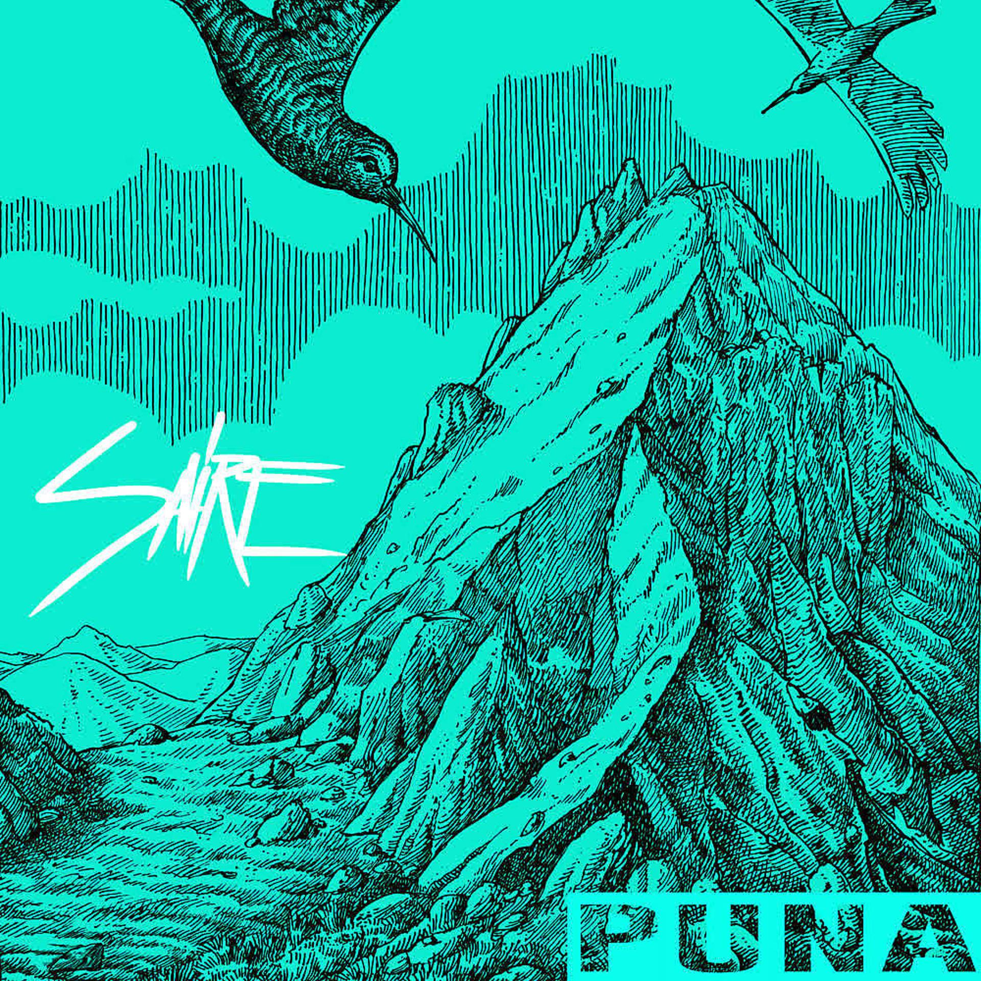 Постер альбома Puna