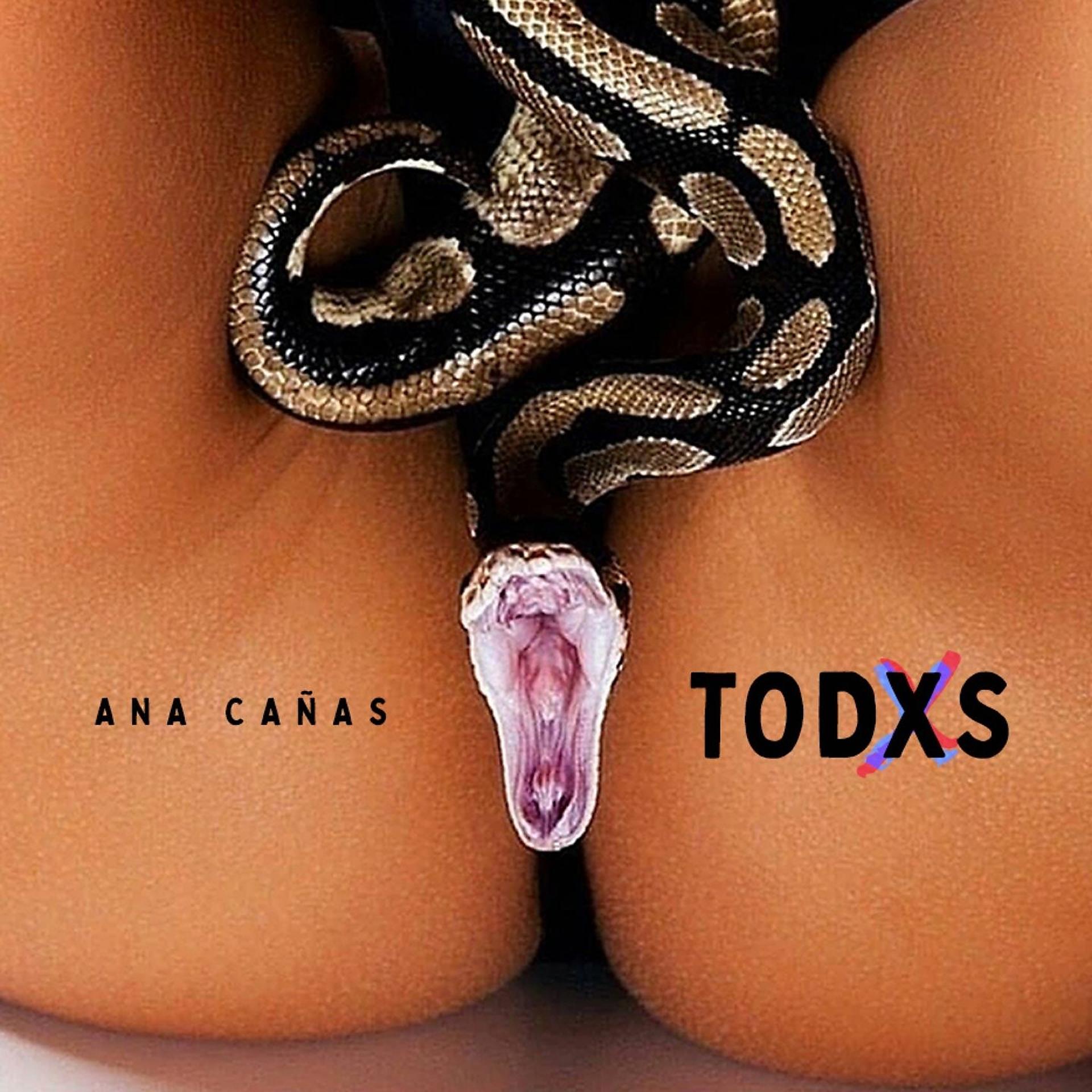 Постер альбома TODXS