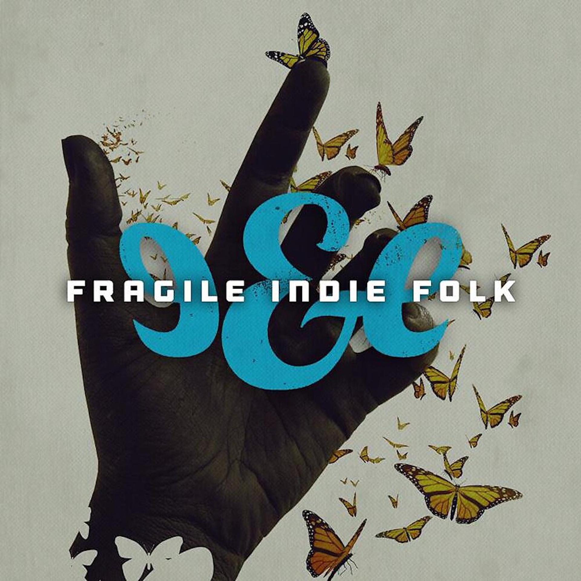 Постер альбома Fragile Indie Folk