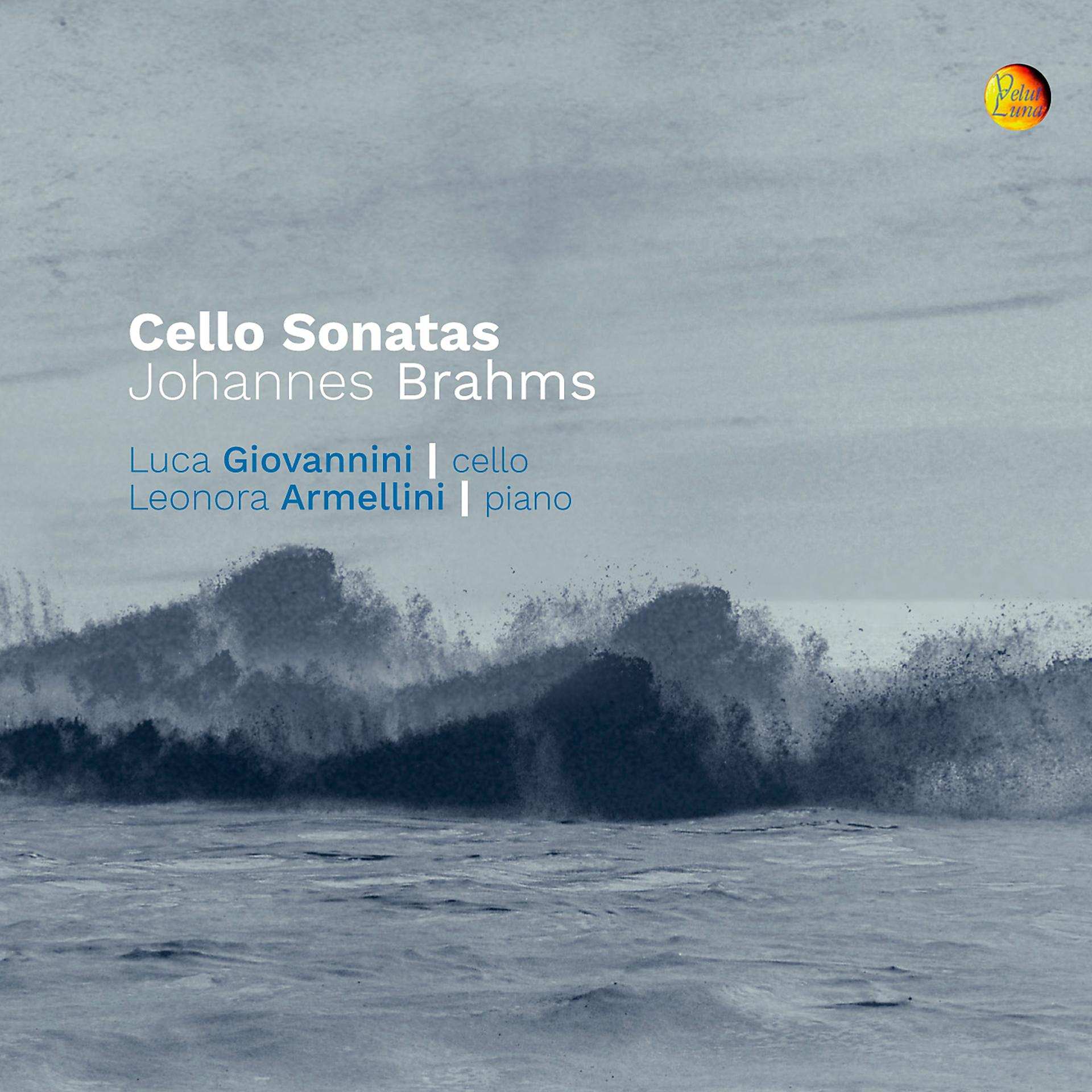 Постер альбома Johannes Brahms: Cello Sonatas