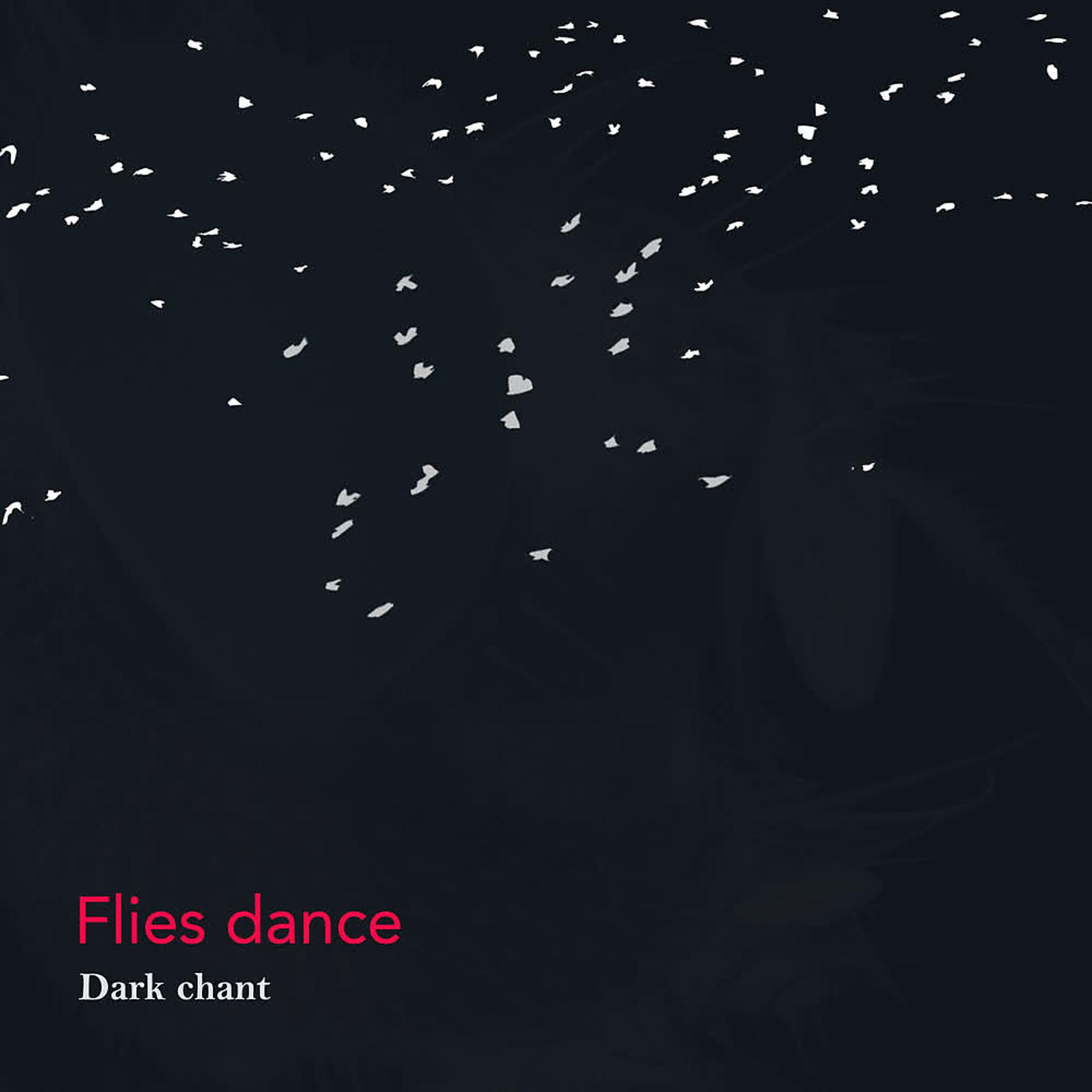 Постер альбома Flies Dance