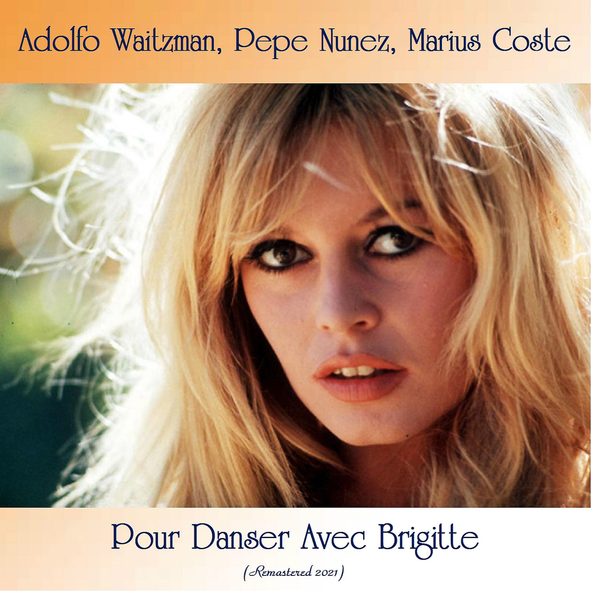 Постер альбома Pour Danser Avec Brigitte