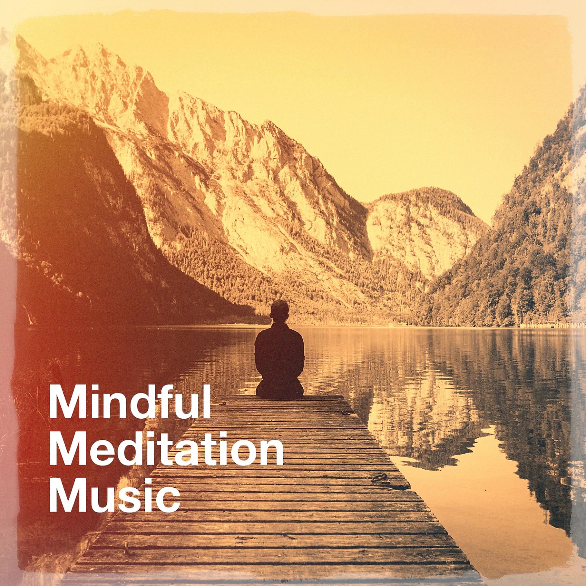 Постер альбома Mindful Meditation Music